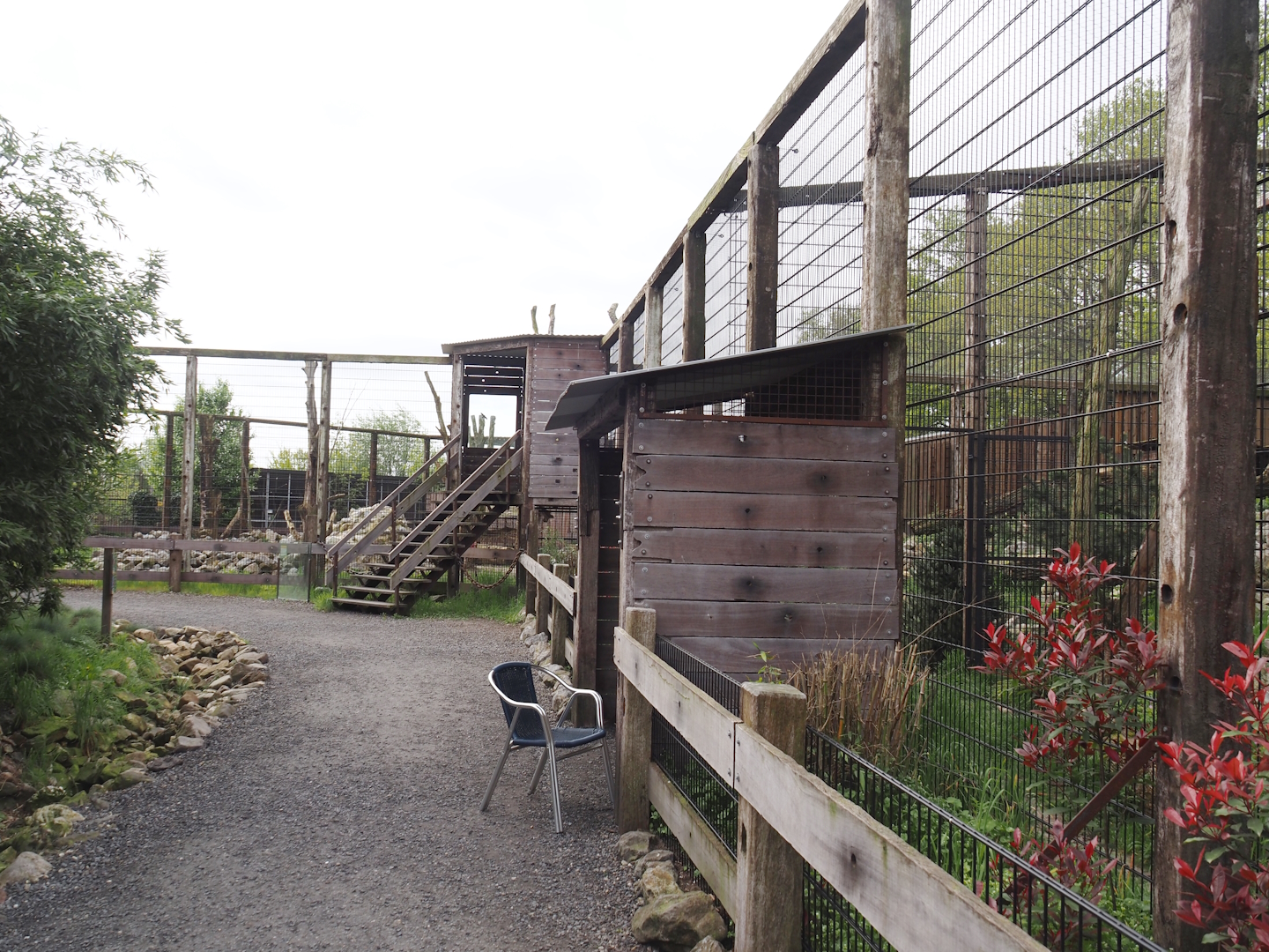 Snow leopard viewing areas, 2024-04-14