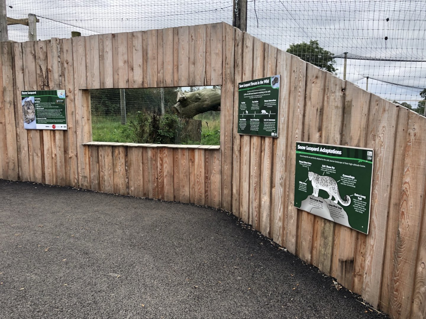 Snow Leopard Viewing at Northumberland Country Zoo (September 2021)