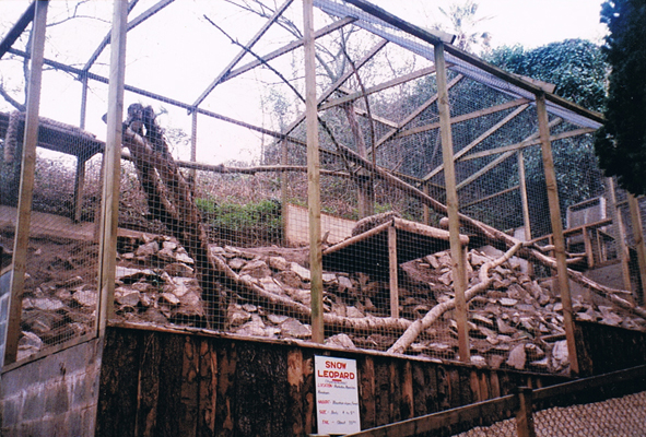 Snow Leopards at Combe Martin 1996