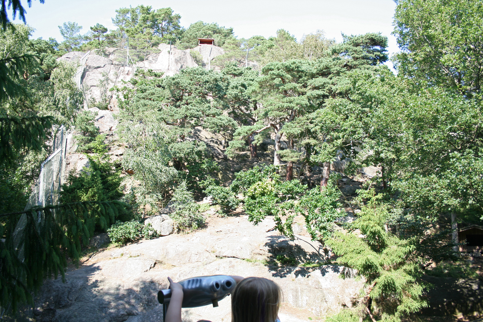 Snow leopards enclosure