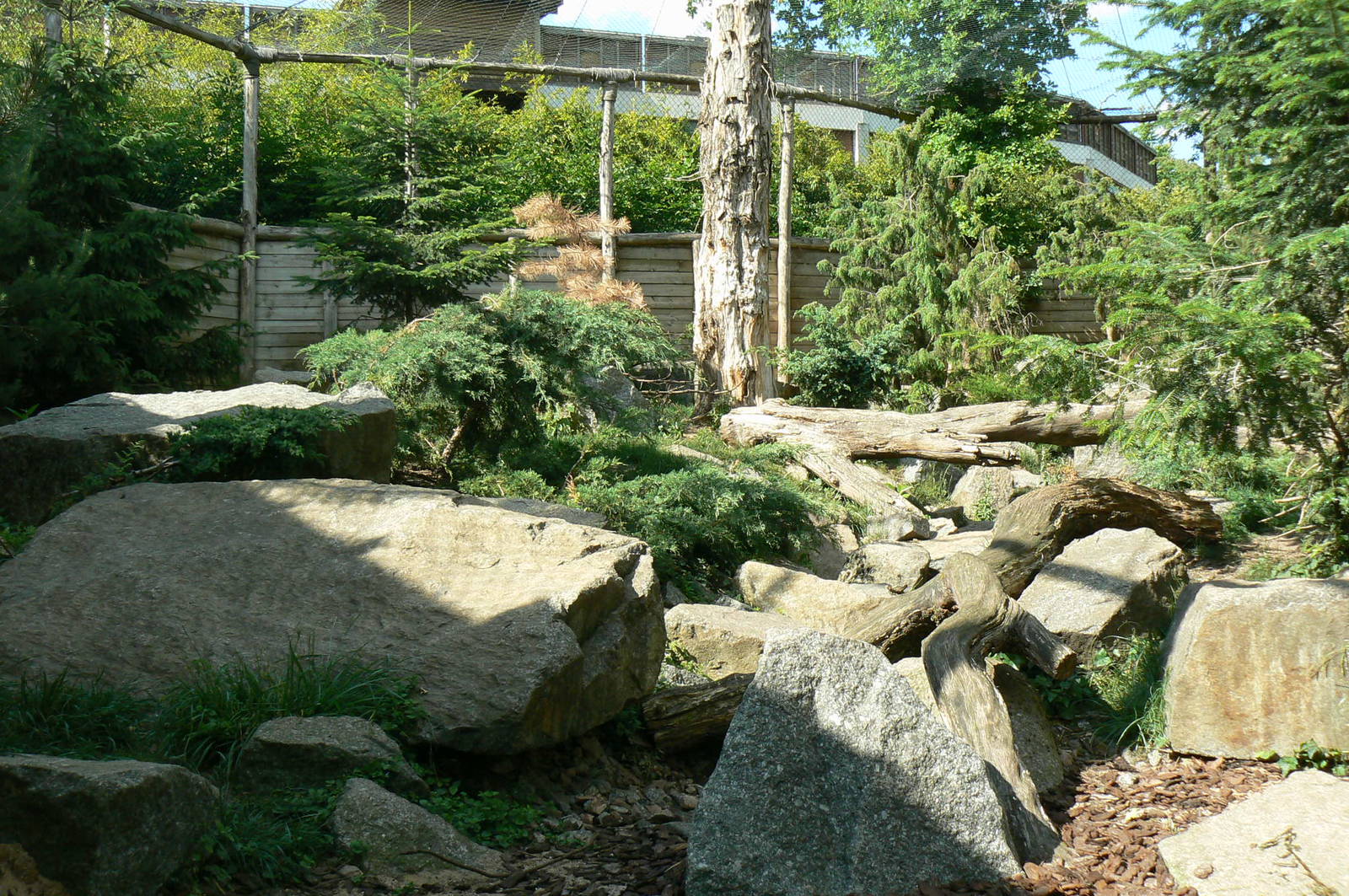 Snow leopards exhibit