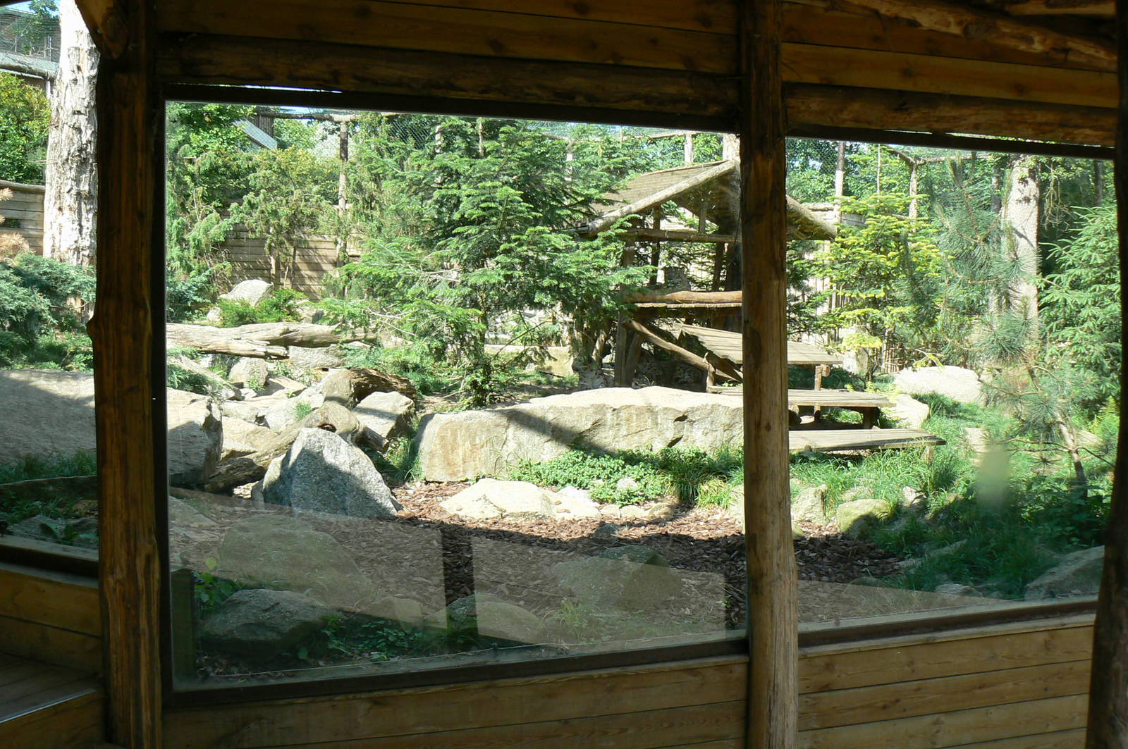 Snow leopards exhibit