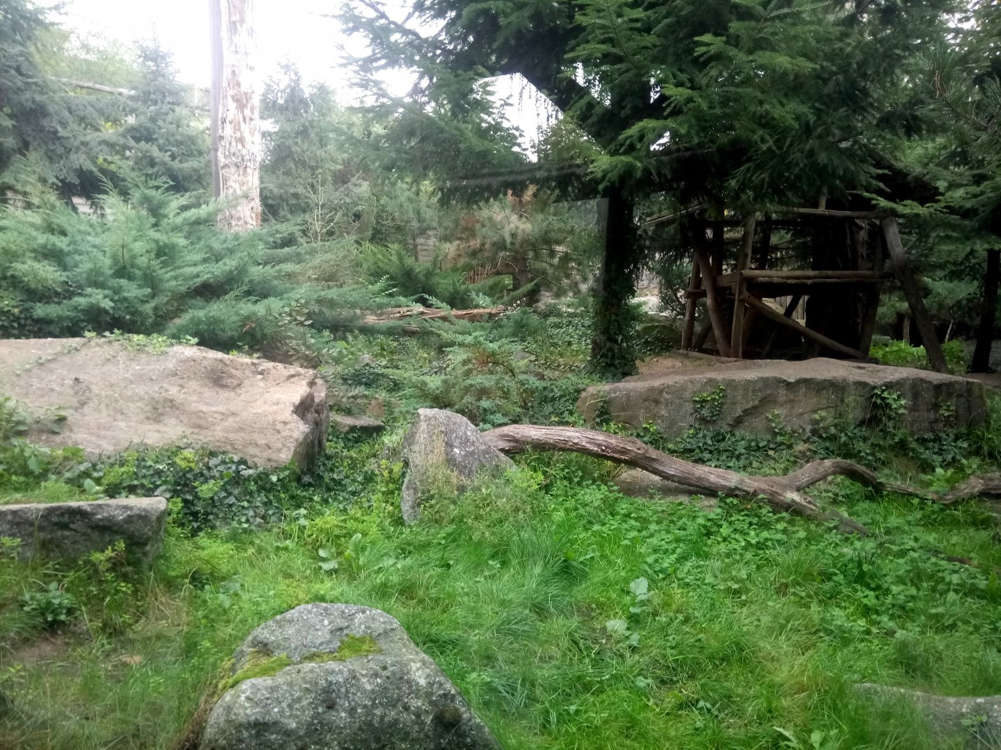 Snow Leopards Exhibit