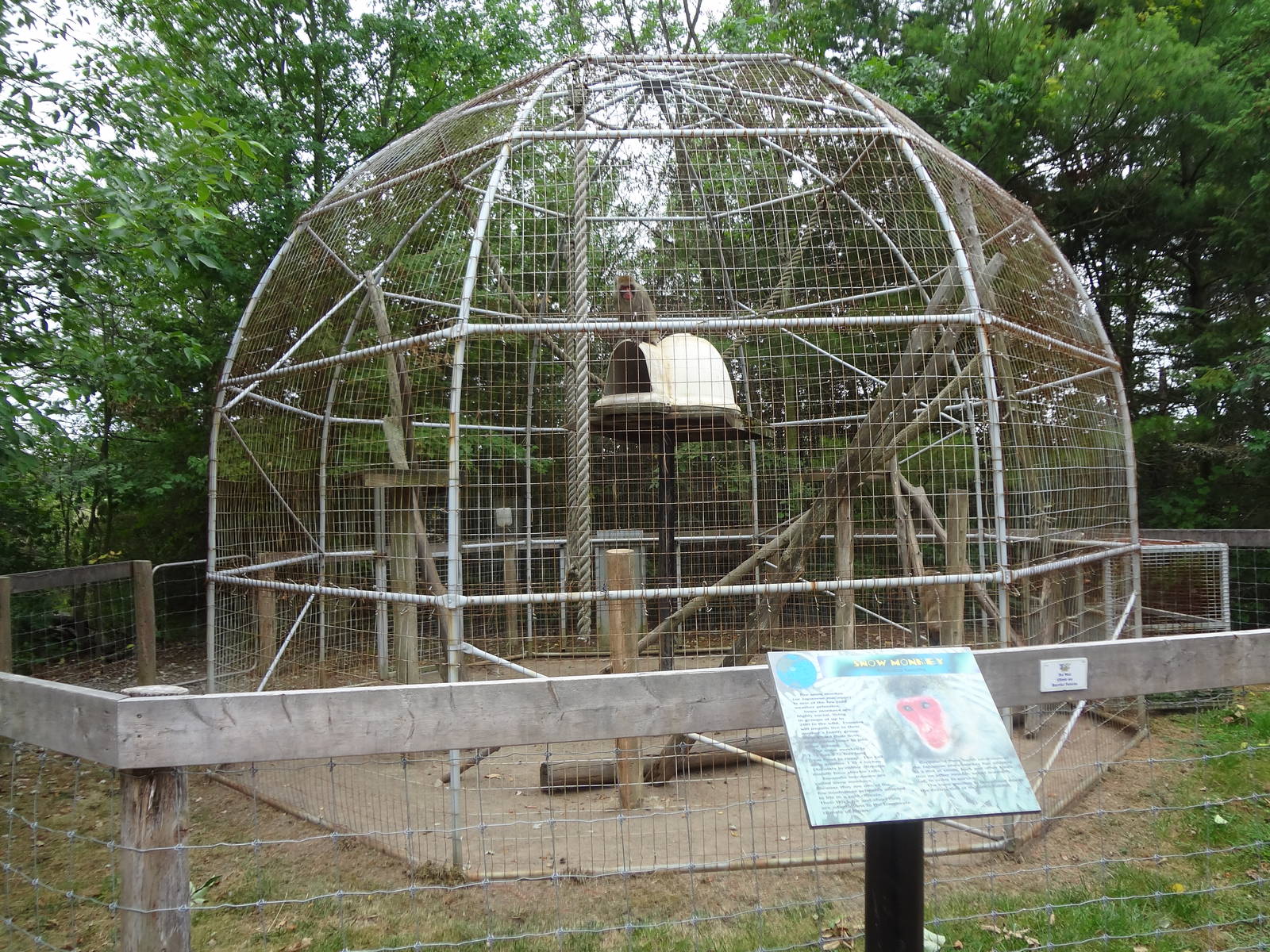 Snow Monkey enclosure