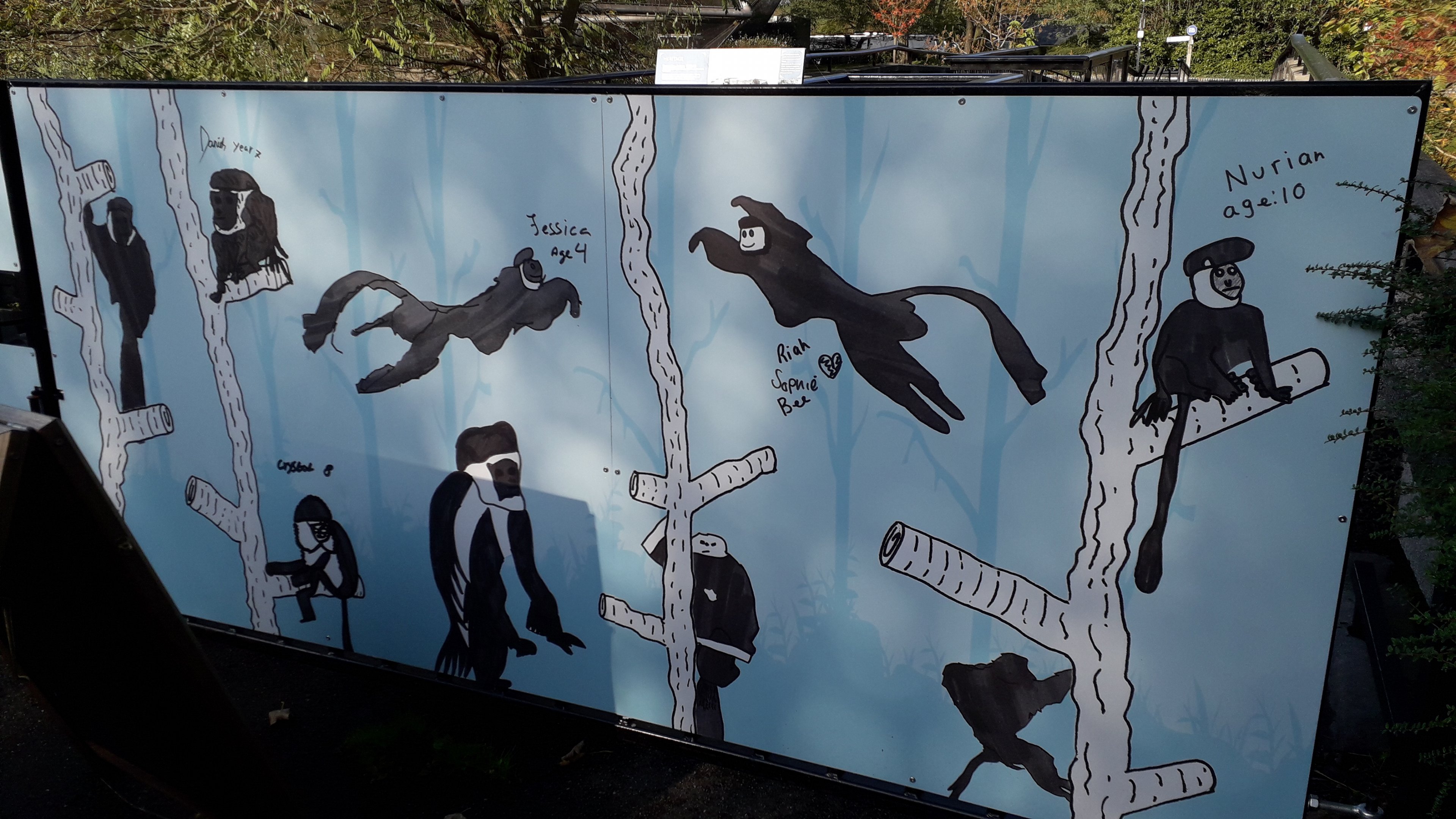 Snowden Colobus artwork 10 November 2019