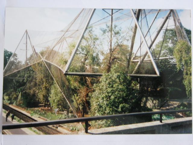 Snowdon Aviary 6/10/99.