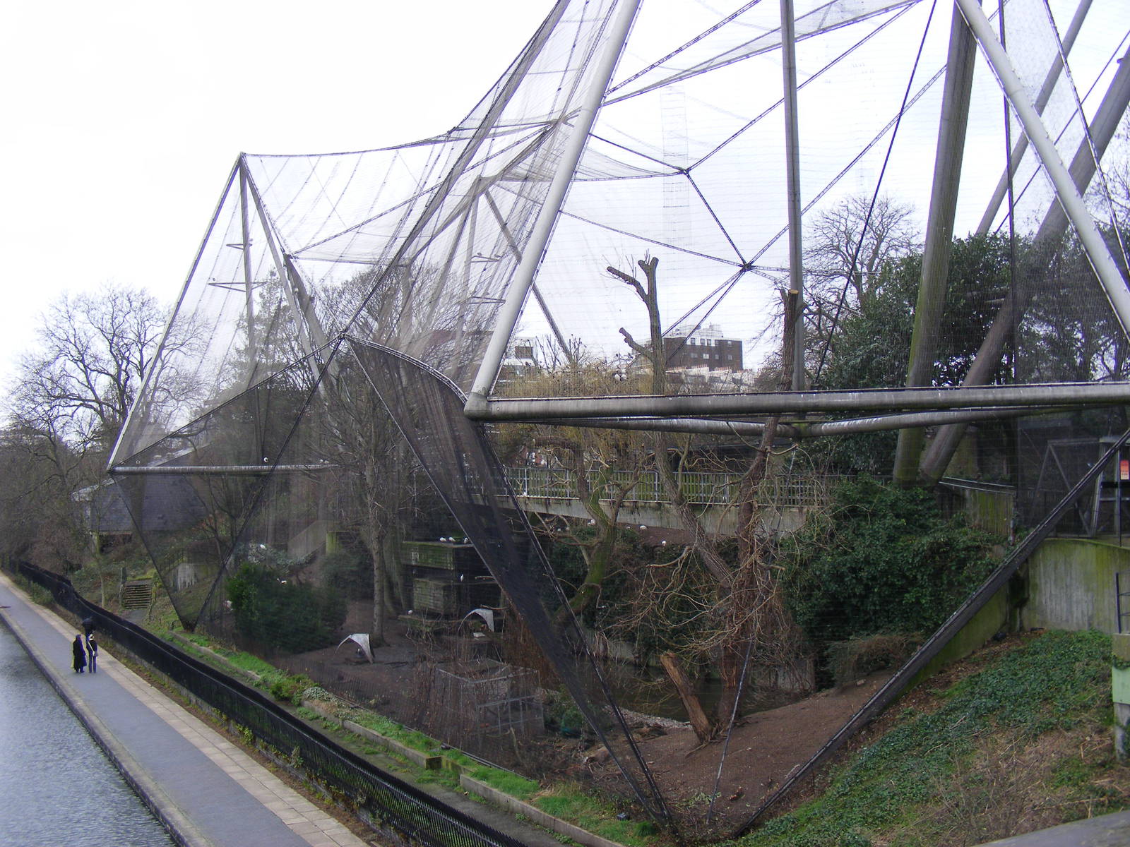 Snowdon Aviary at London Zoo, 15 January 2011