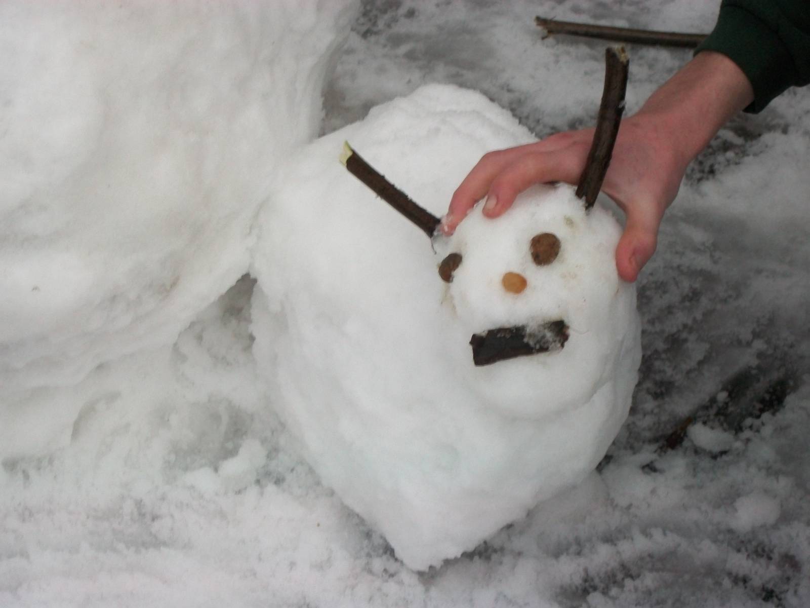 Snowerby Zoo, 26th January 2013