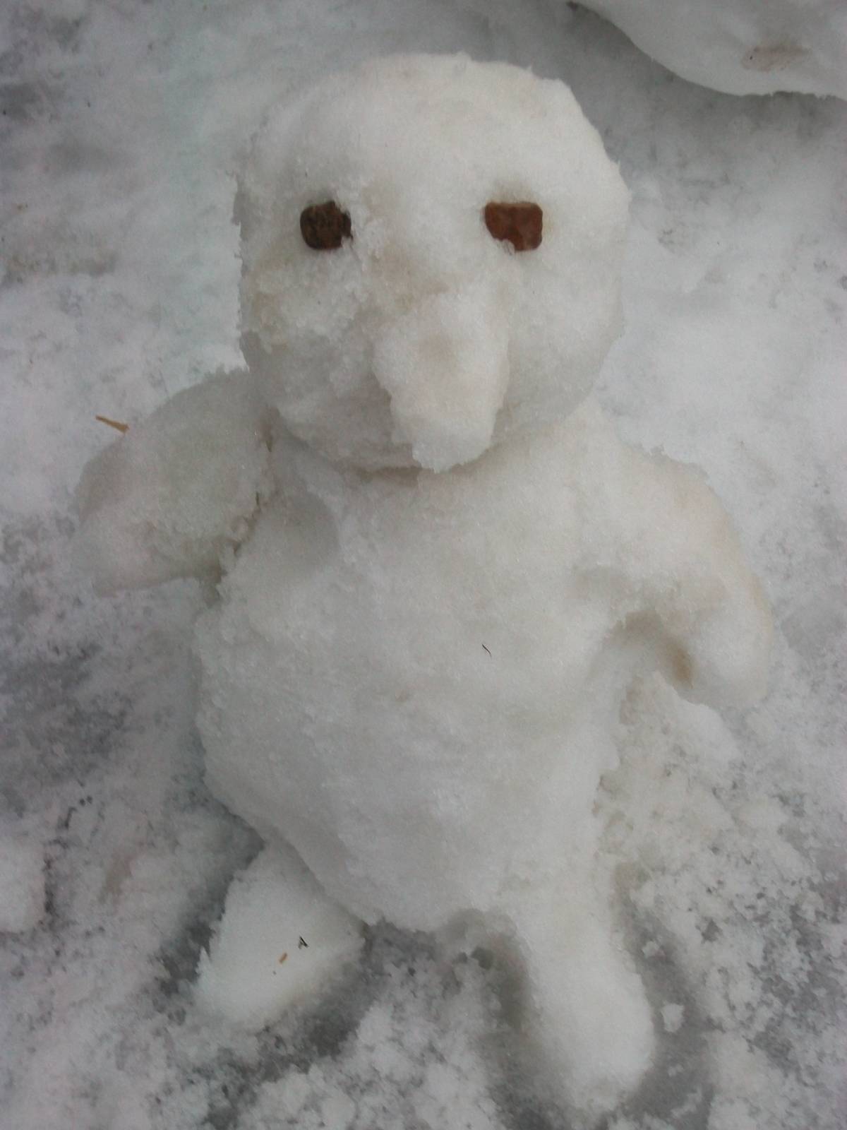 Snowerby Zoo, 26th January 2013