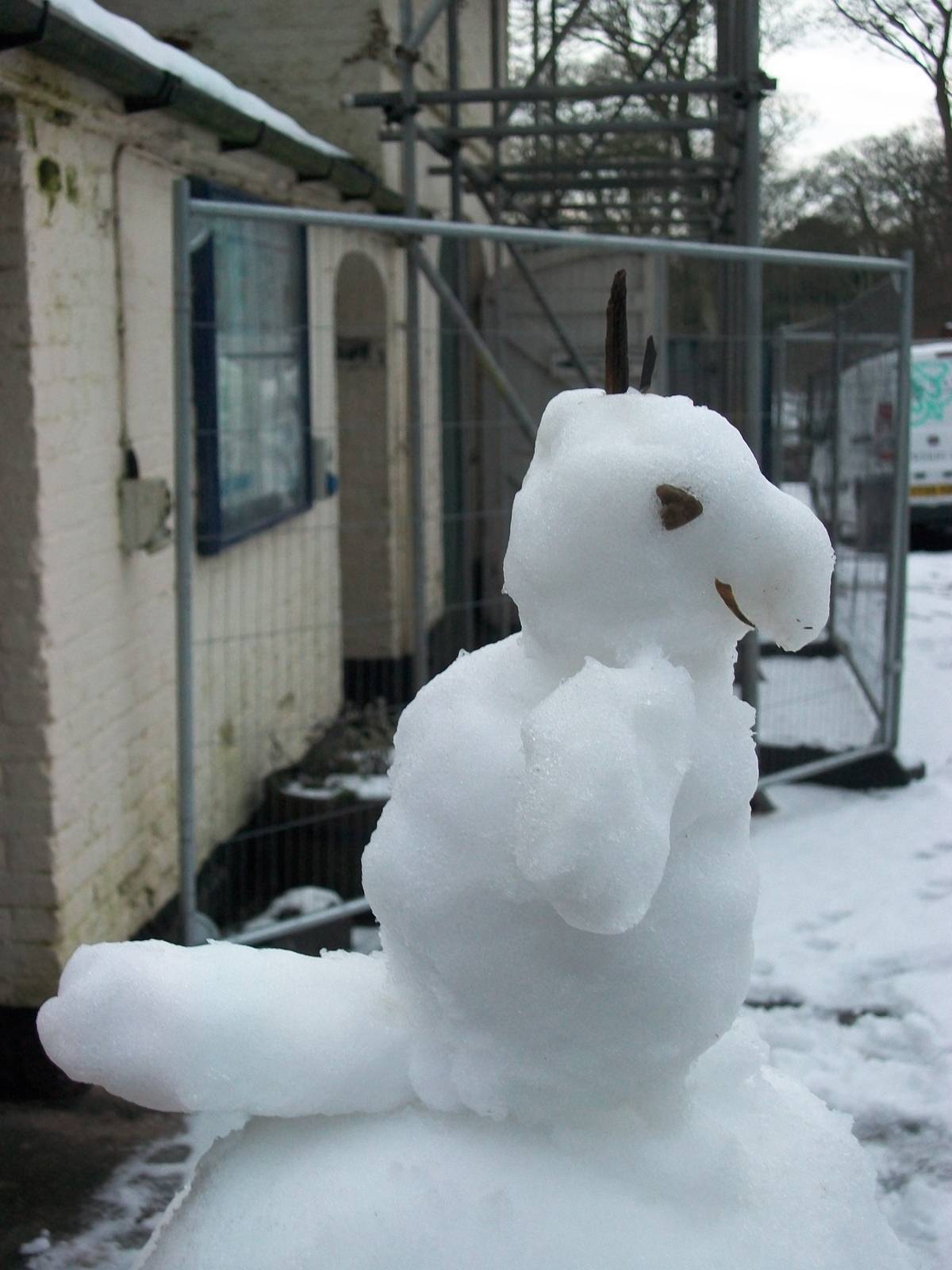 Snowerby Zoo, 26th January 2013