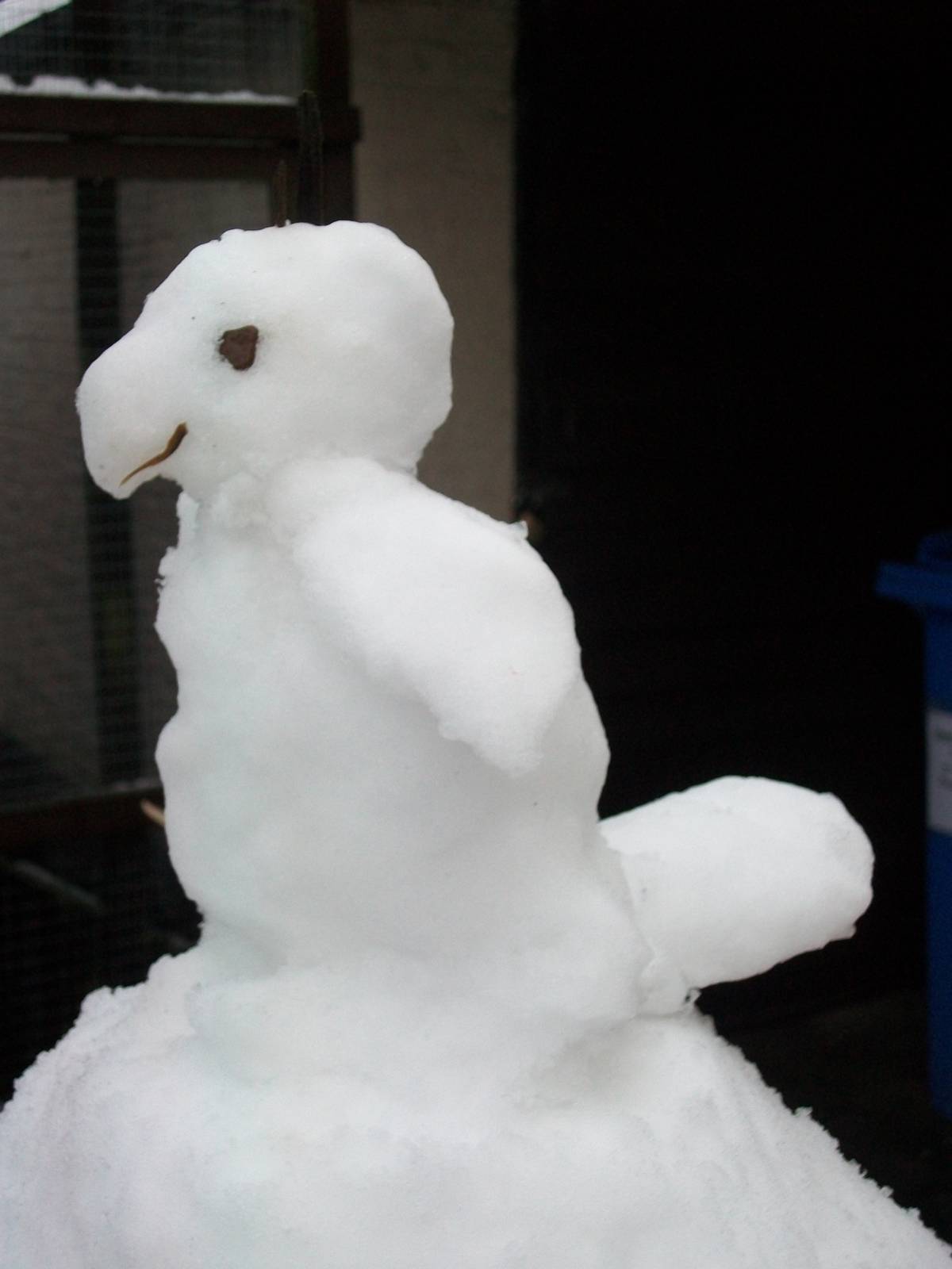 Snowerby Zoo, 26th January 2013