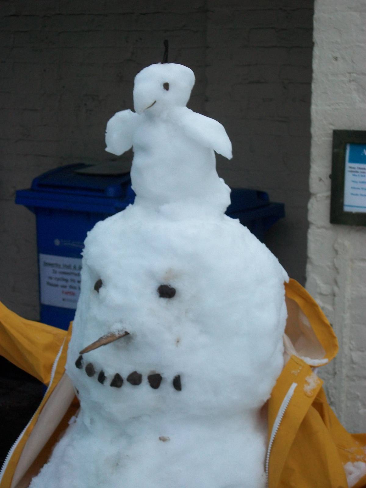 Snowerby Zoo, 26th January 2013