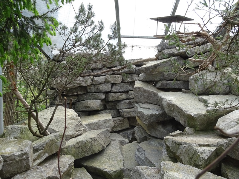 Snowfinch and rock patridge enclosure