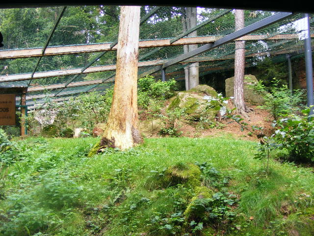 snowleopard enclosure