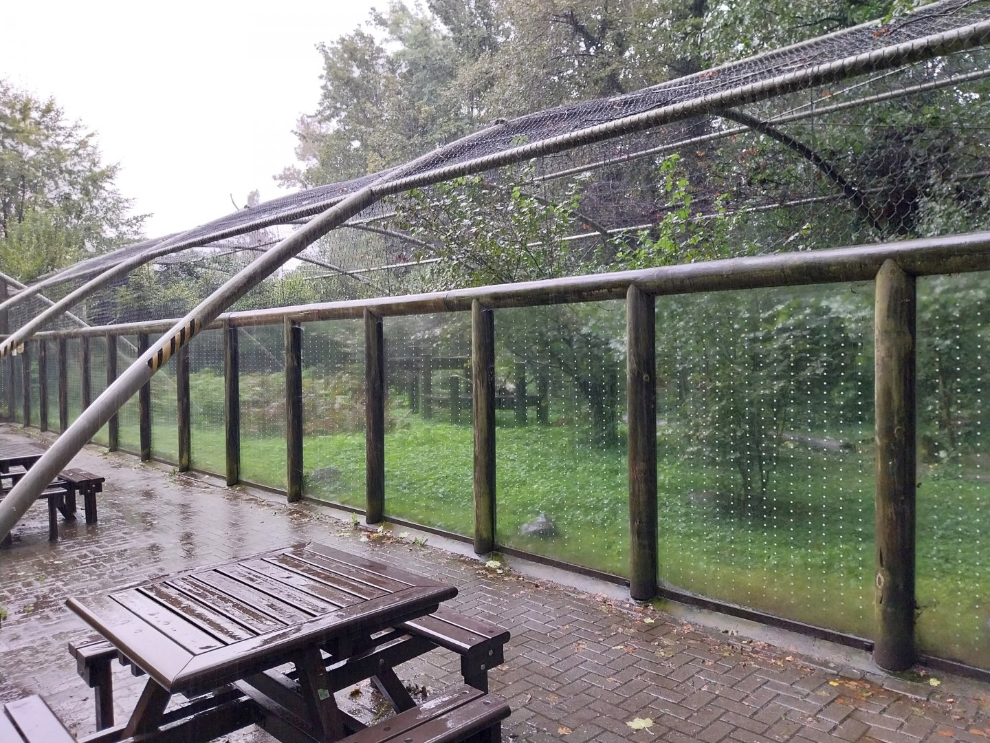 Snowleopard enclosure
