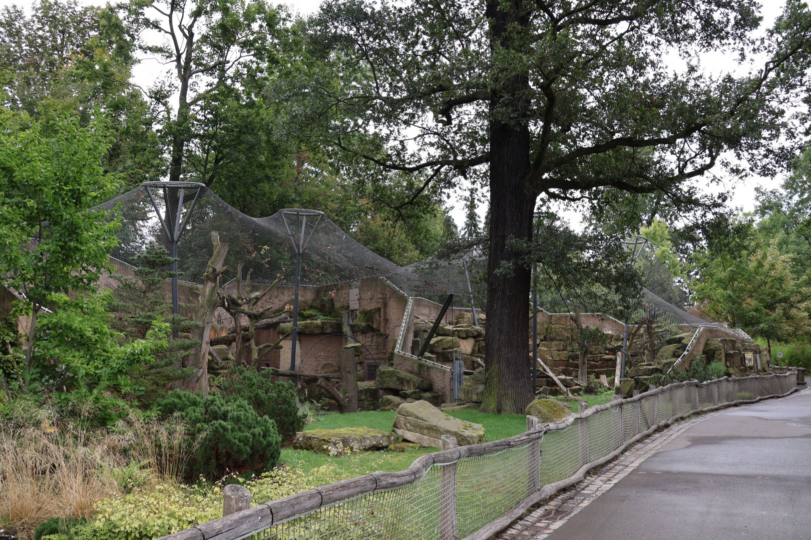 Snowleopard enclosures