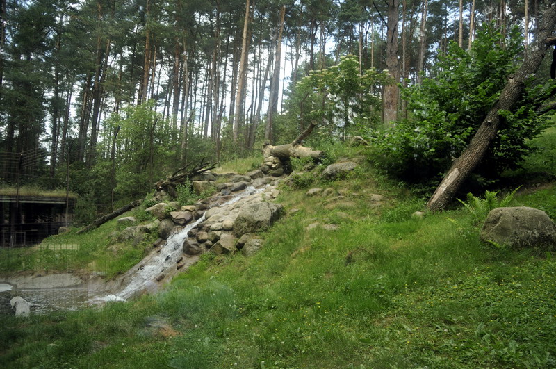 Snowleopard-exhibit at Lüneburger Heide.