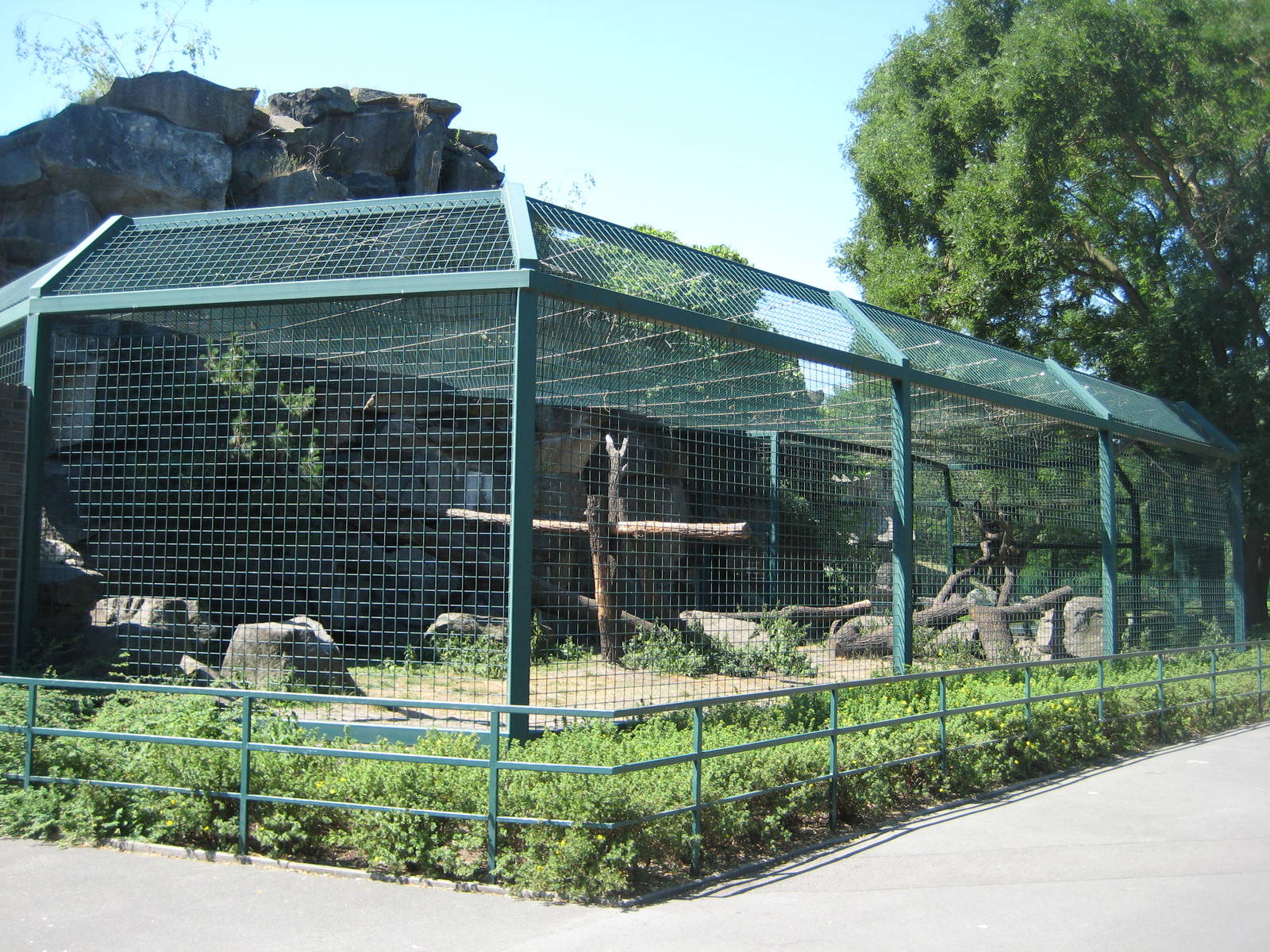 Snowleopard Exhibit at the Berlin Tierpark