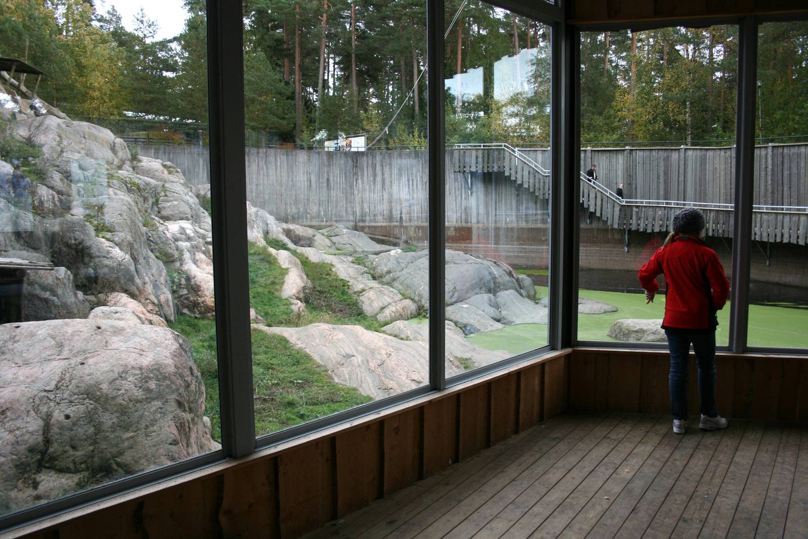Snowleopard exhibit - Kolmården