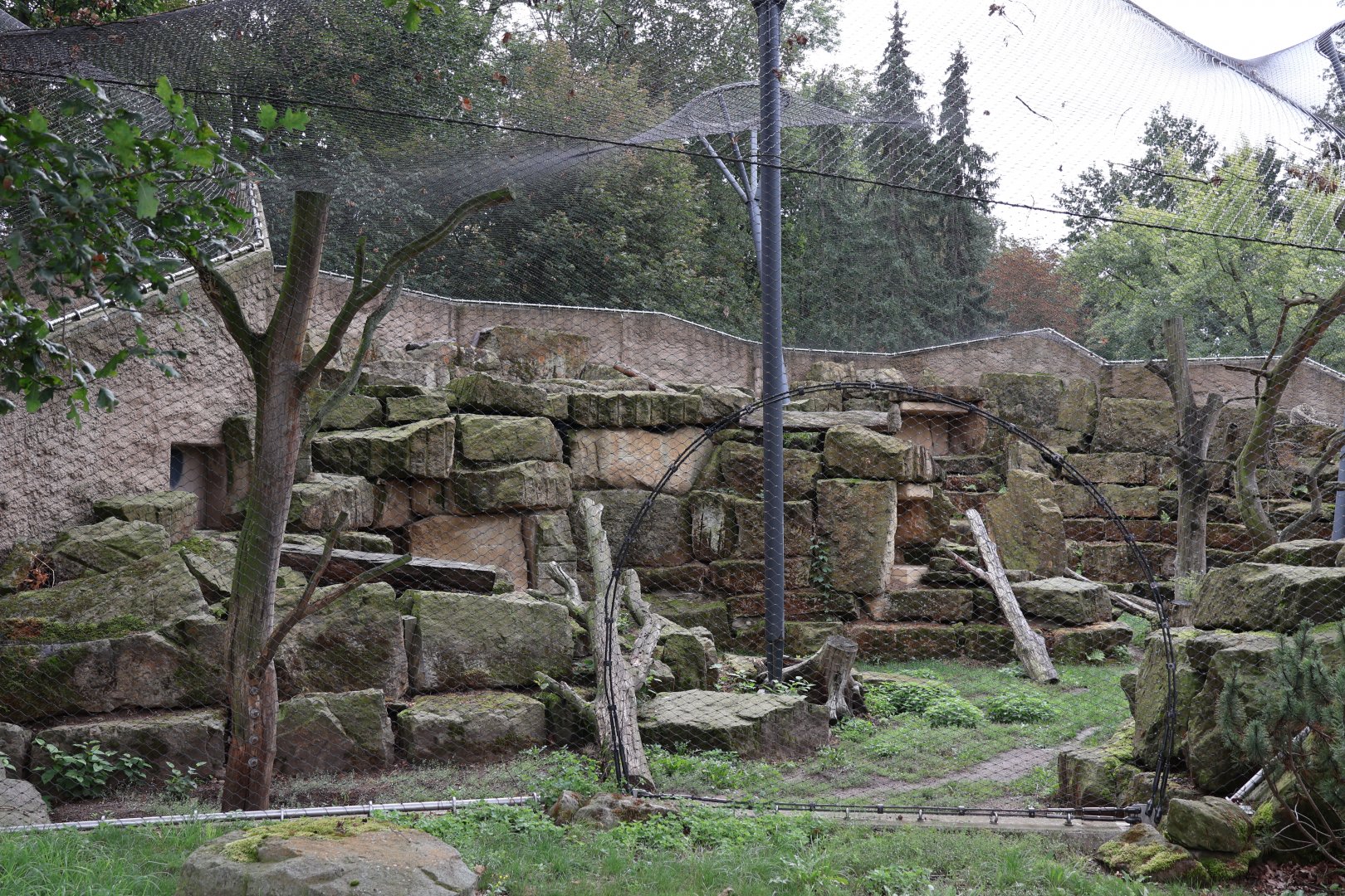 Snowleopard right enclosure