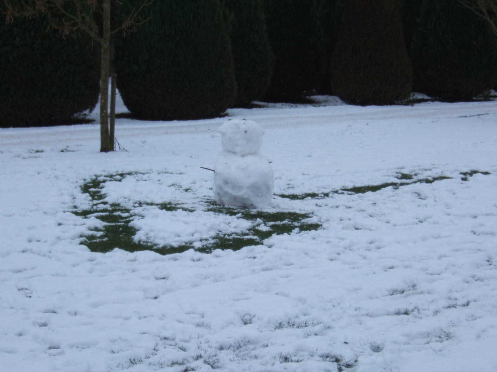 Snowman