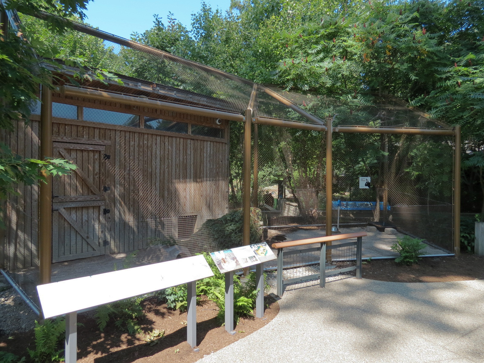 Snowshoe Hare Exhibit