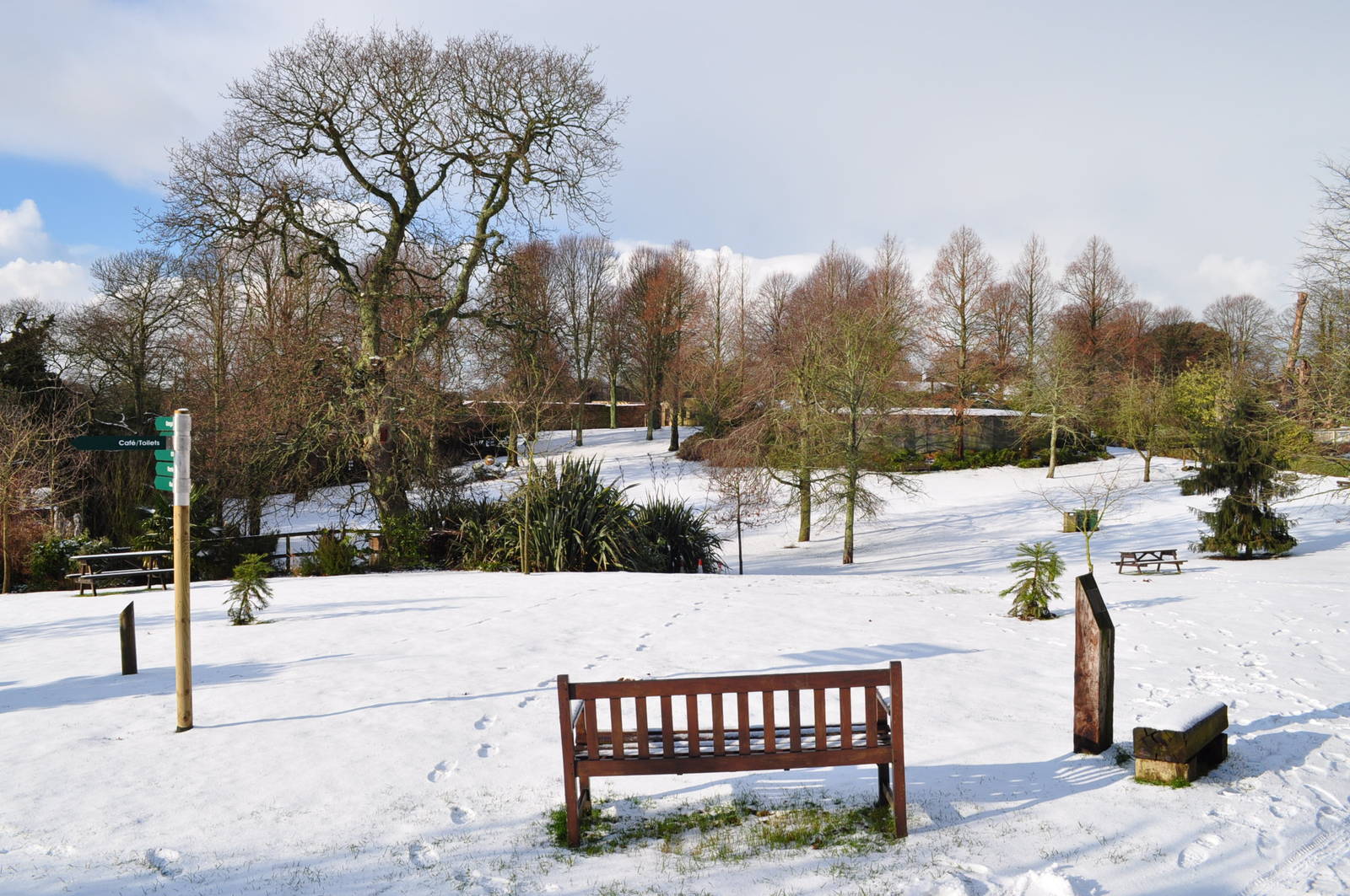 Snowtime - main lawn looking towards Jewels.