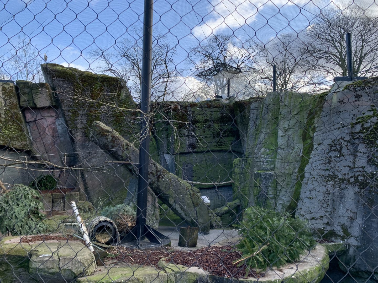 Snowy Owl and Arctic Fox exhibit