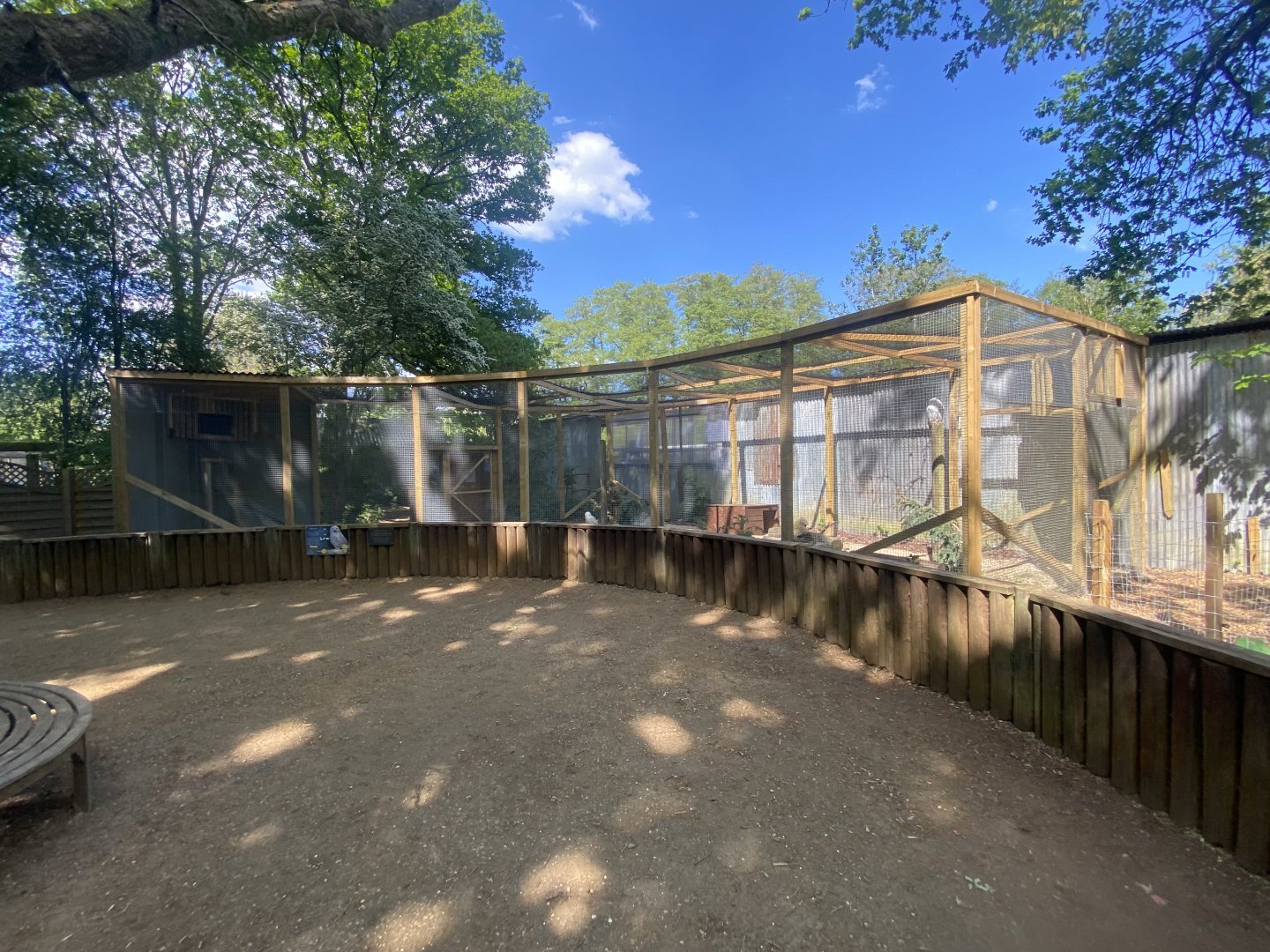Snowy owl aviary 090525