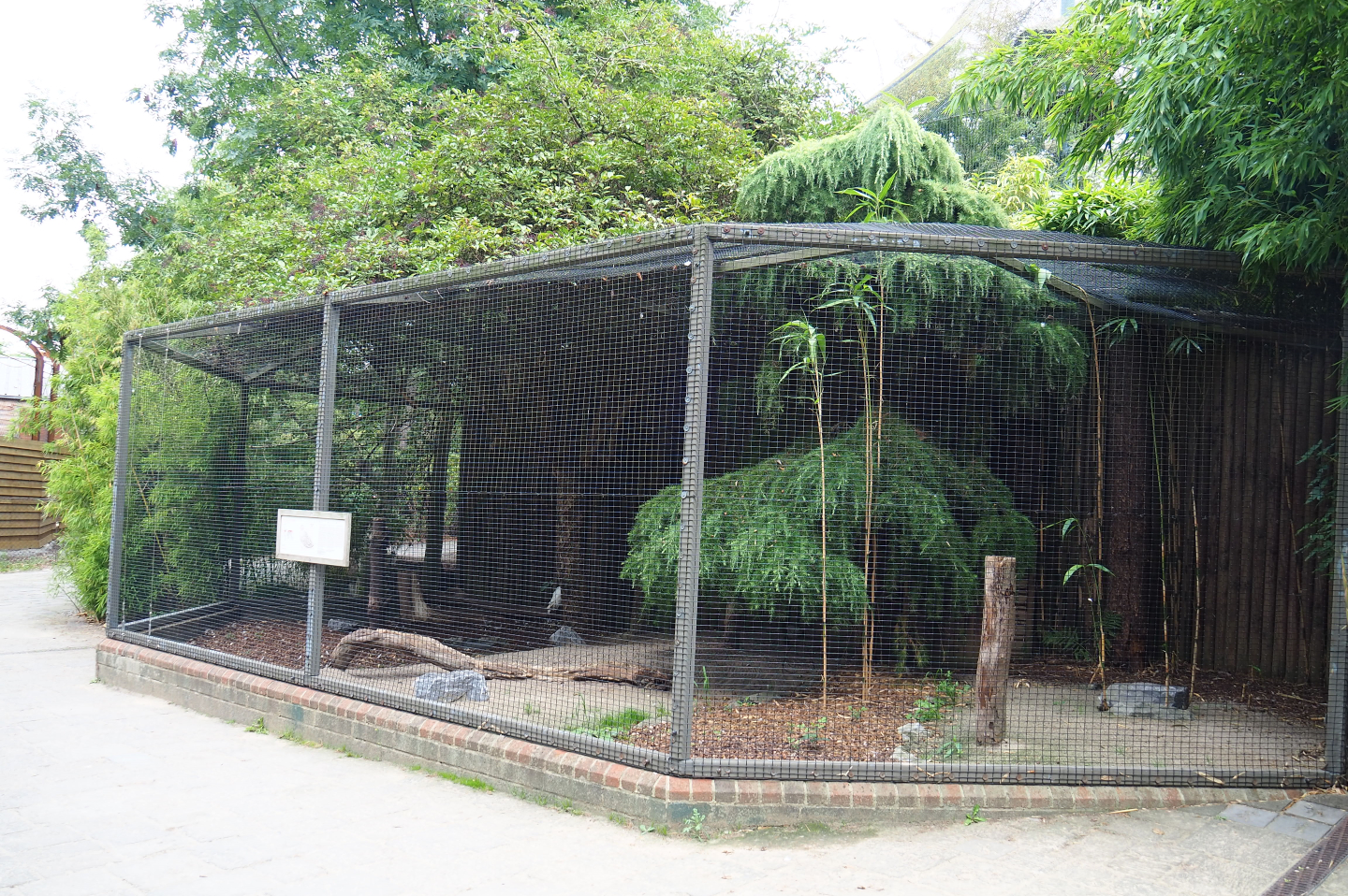 Snowy owl aviary, 2020-09-02