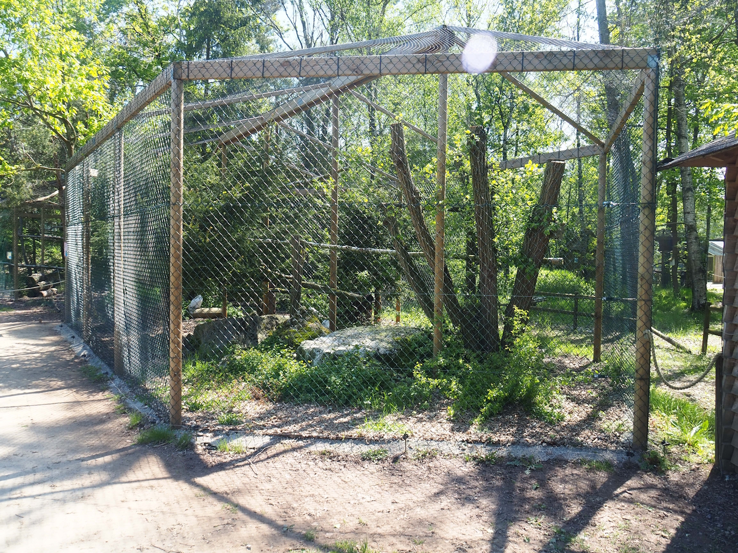 Snowy owl aviary, 2023-05-19