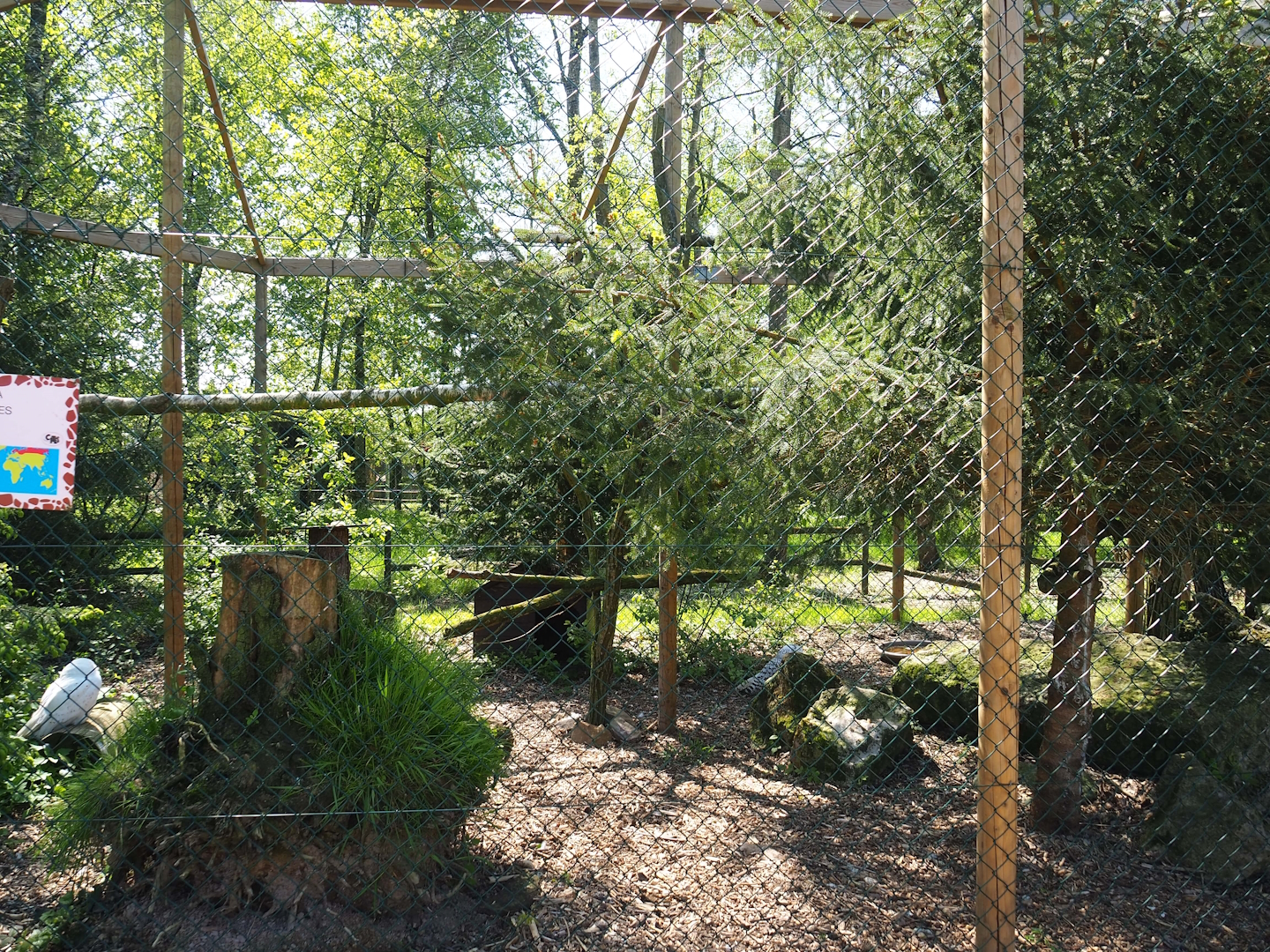 Snowy owl aviary, 2023-05-19