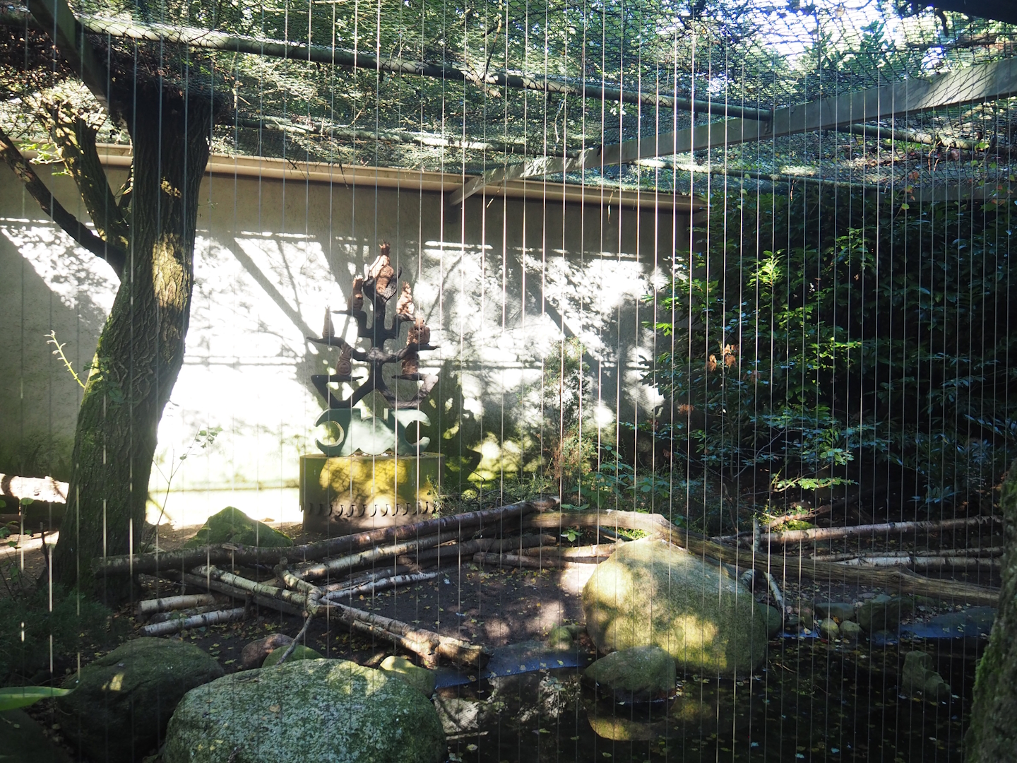 Snowy owl aviary, 2023-09-24