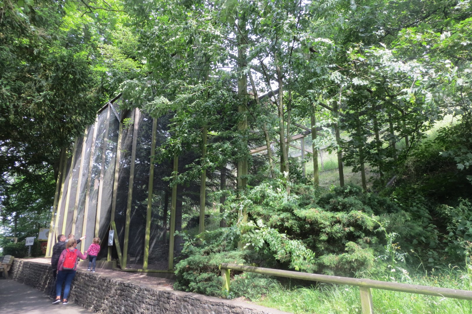 Snowy owl aviary 230619