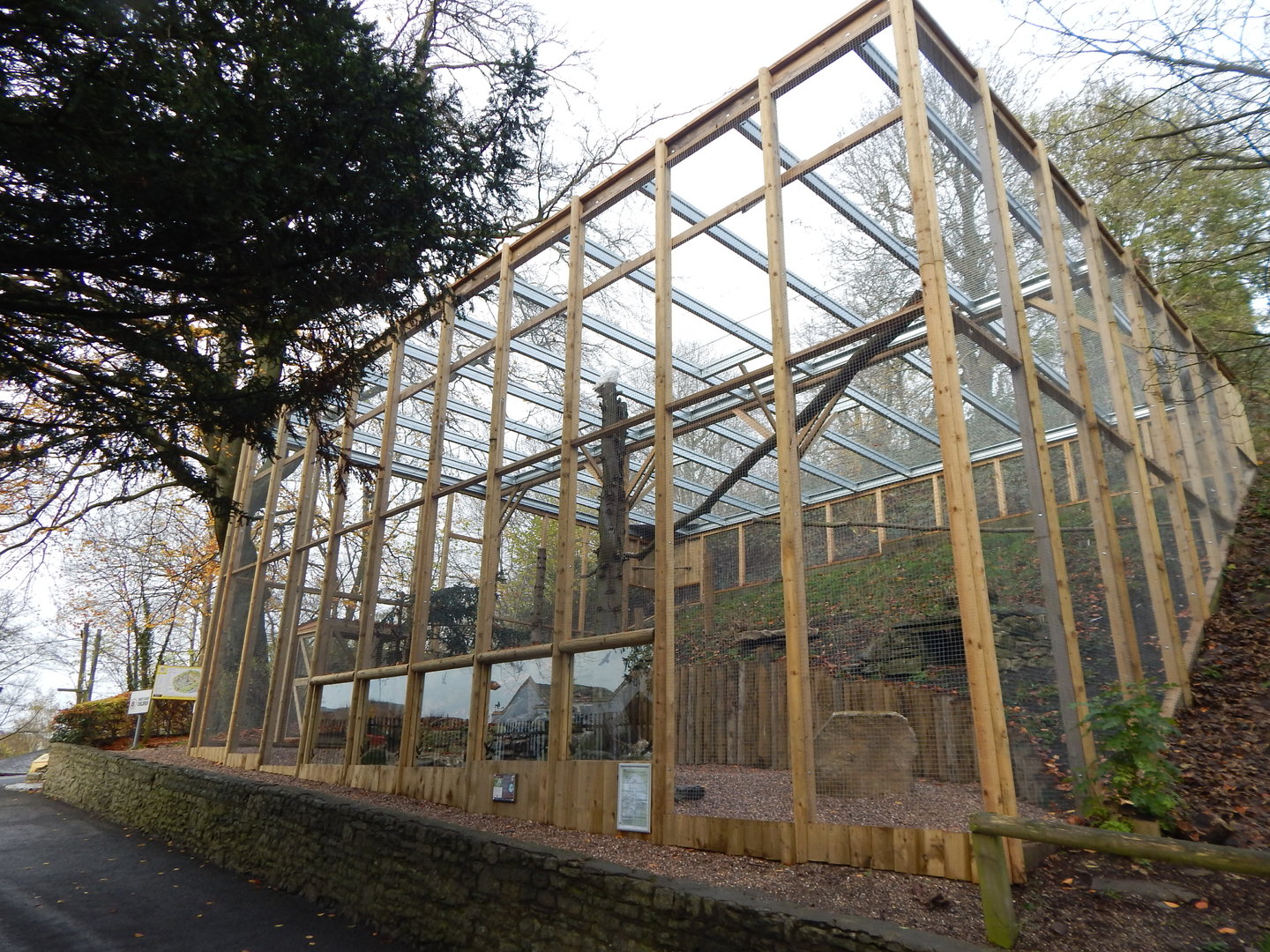 Snowy owl aviary 241122
