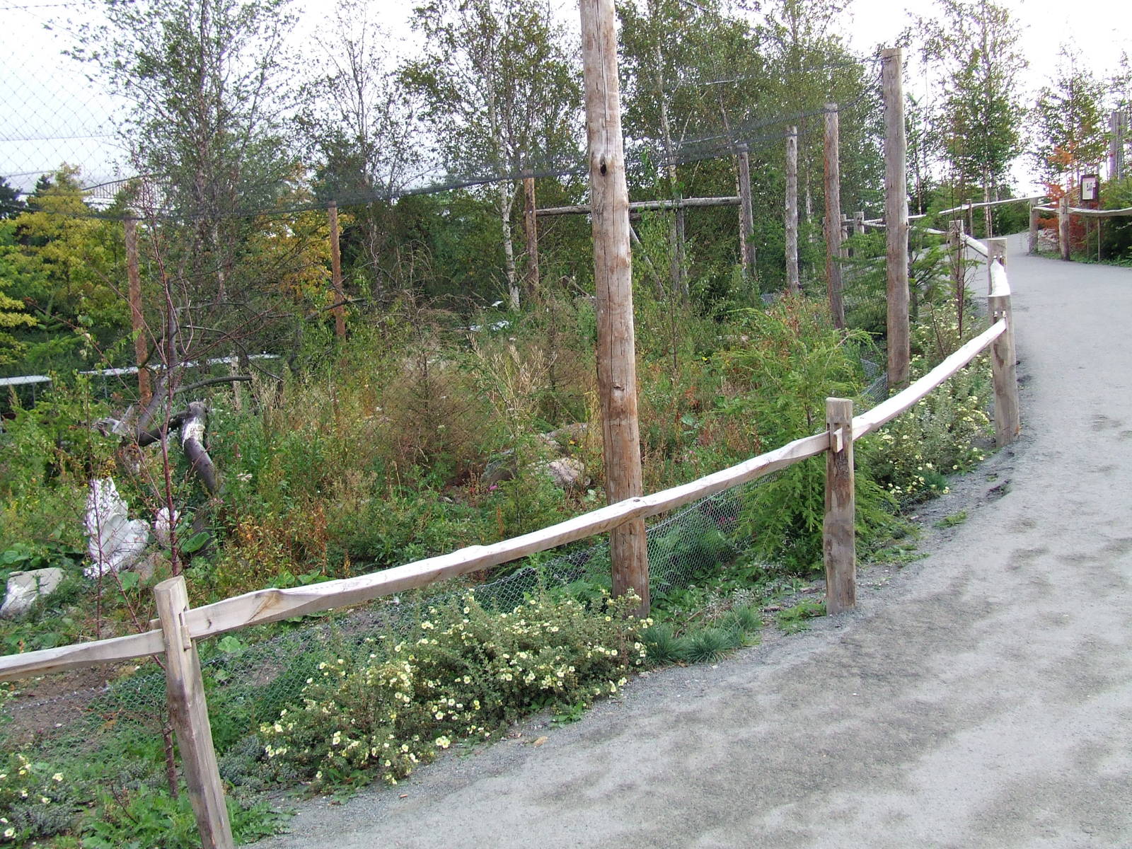 Snowy Owl aviary, Arctica