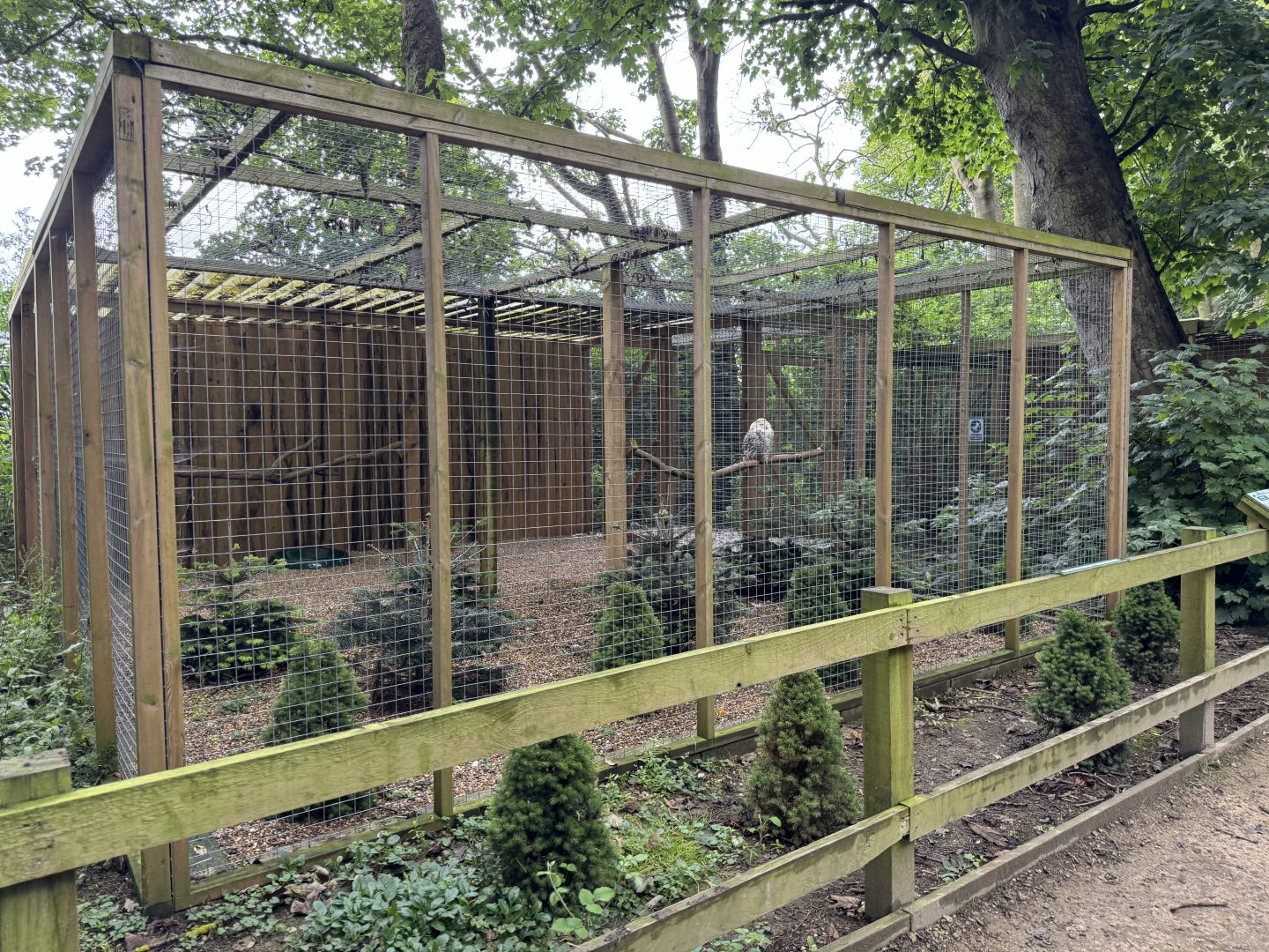 Snowy Owl Aviary at Bridlington Animal Park (July 2024)