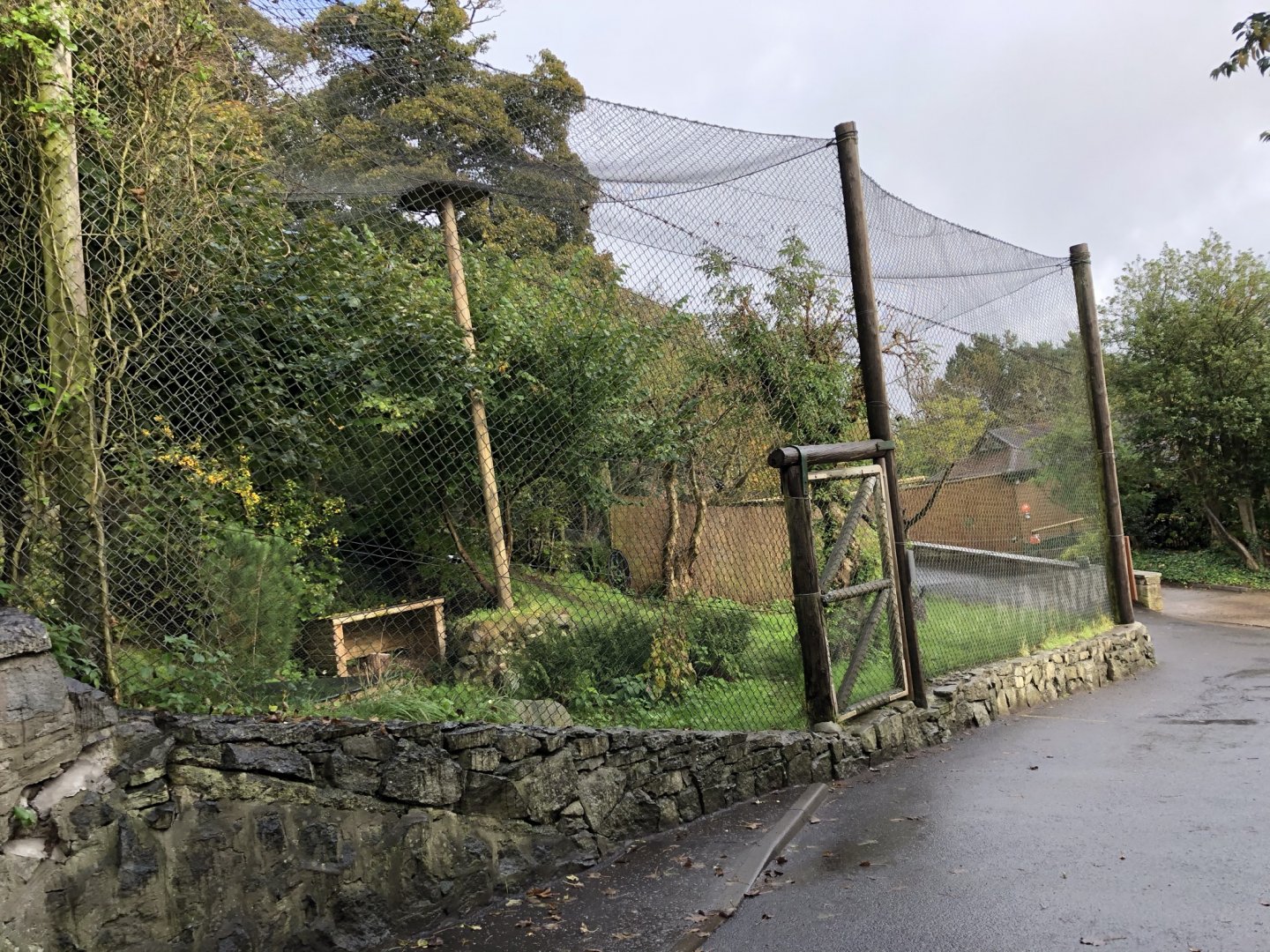 Snowy Owl Aviary at Edinburgh Zoo (2020)