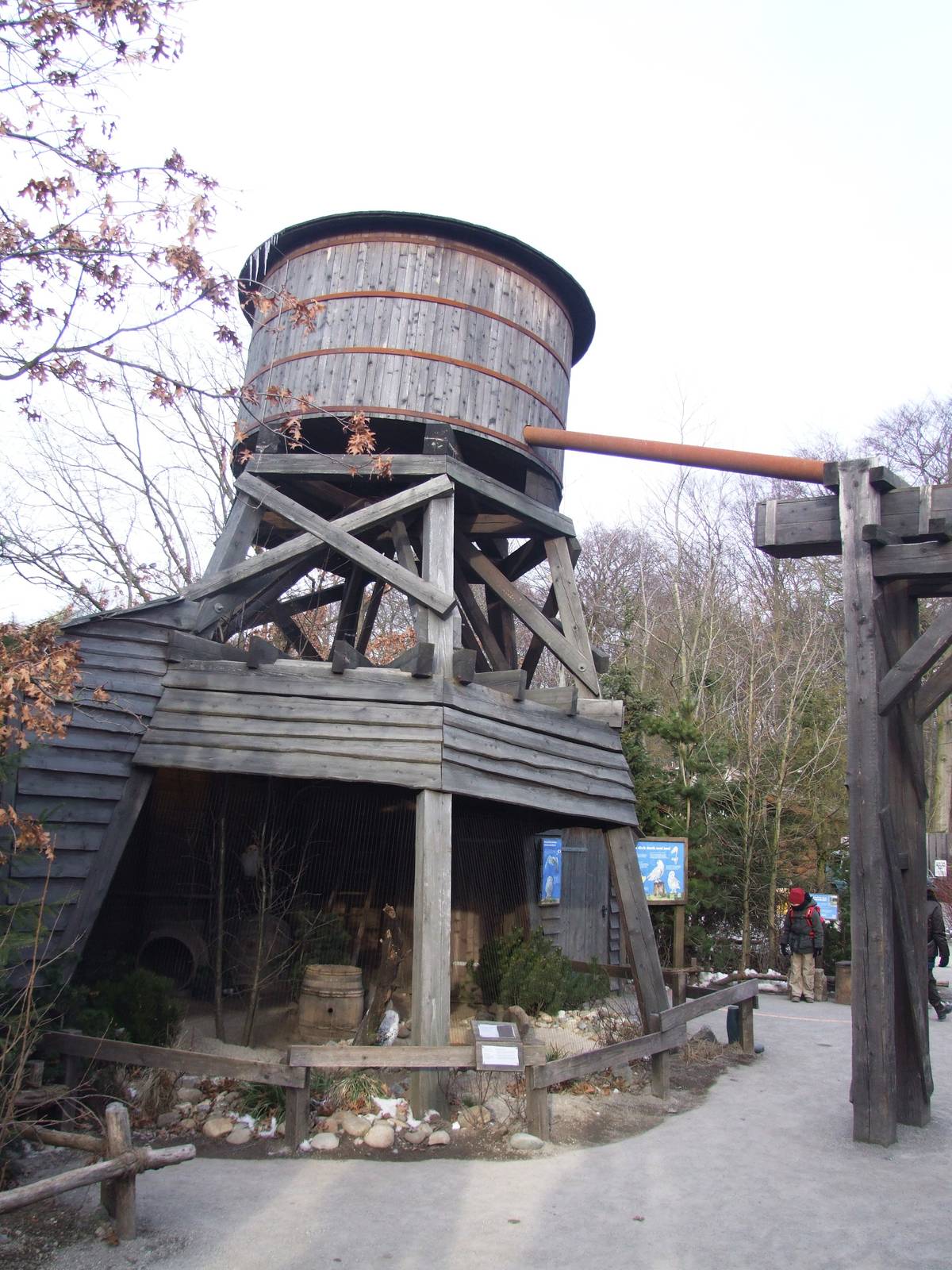 Snowy Owl Aviary at Hannover, 23/03/13