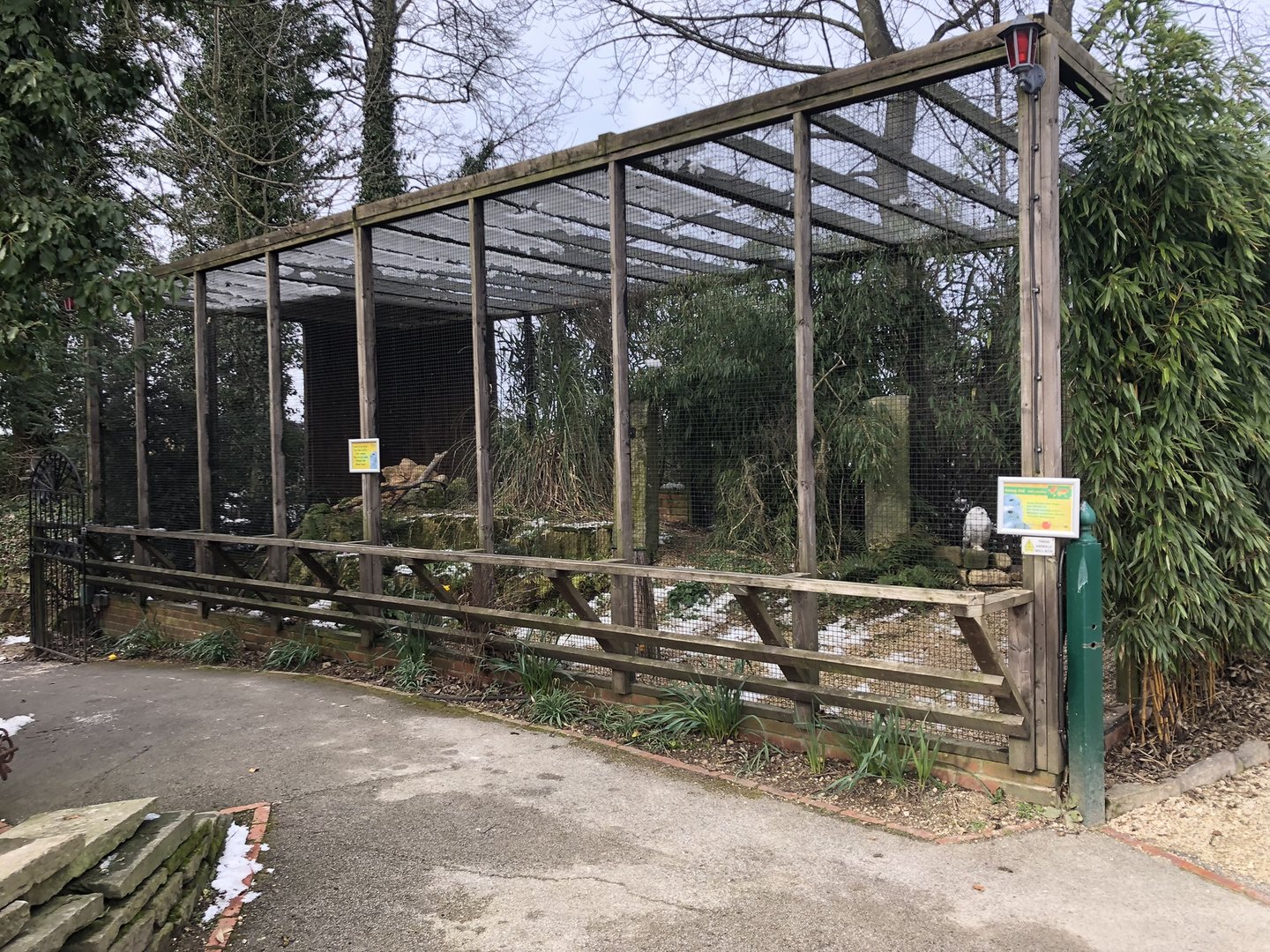 Snowy Owl Aviary at Tropical Butterfly House (March 2023)