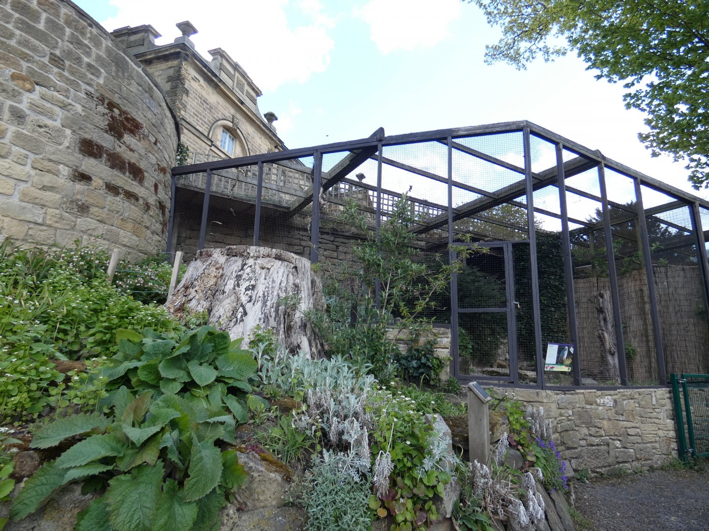 Snowy owl aviary (built onto side of an ice house)