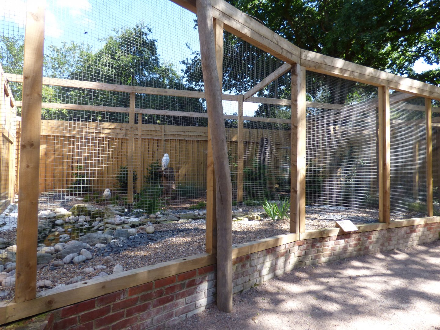 Snowy Owl Aviary in The Terry Prachett Owl Parliment