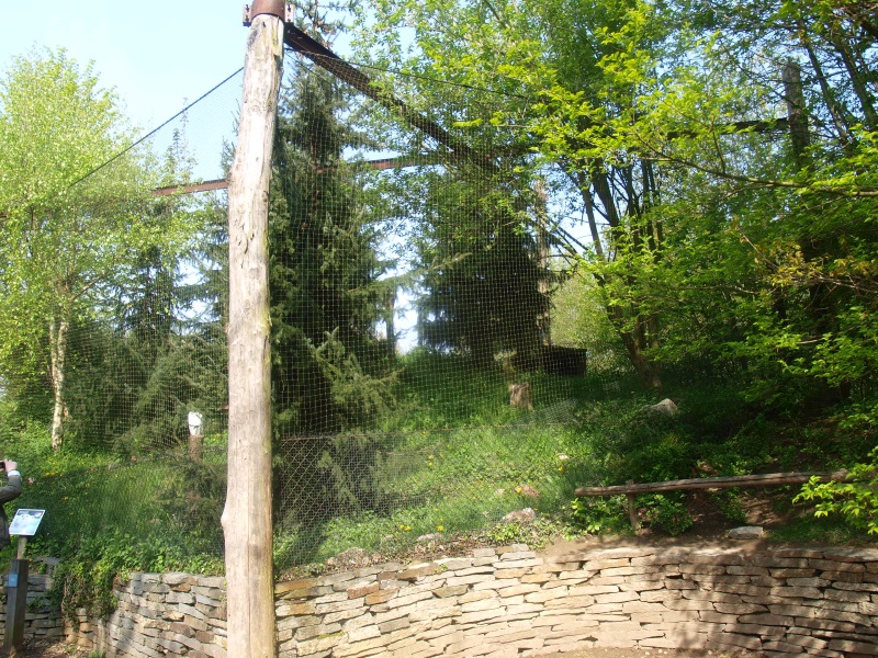 Snowy owl aviary (May 2nd, 2015)