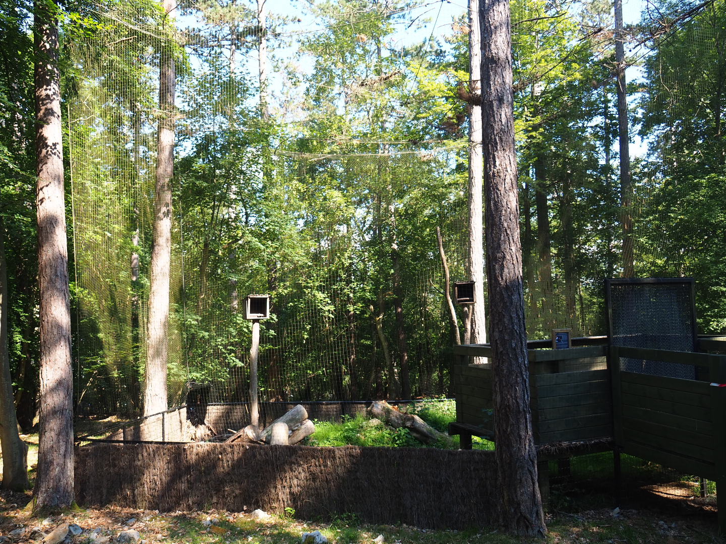 Snowy owl aviary undergoing renovations, 2020-07-12
