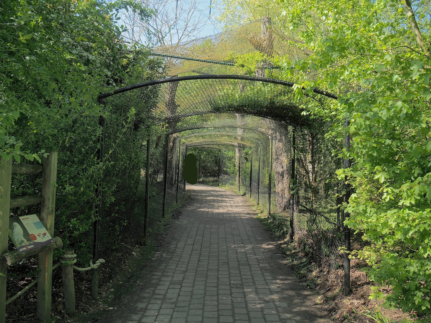 Snowy owl aviary with tunnel, 2023-04-30