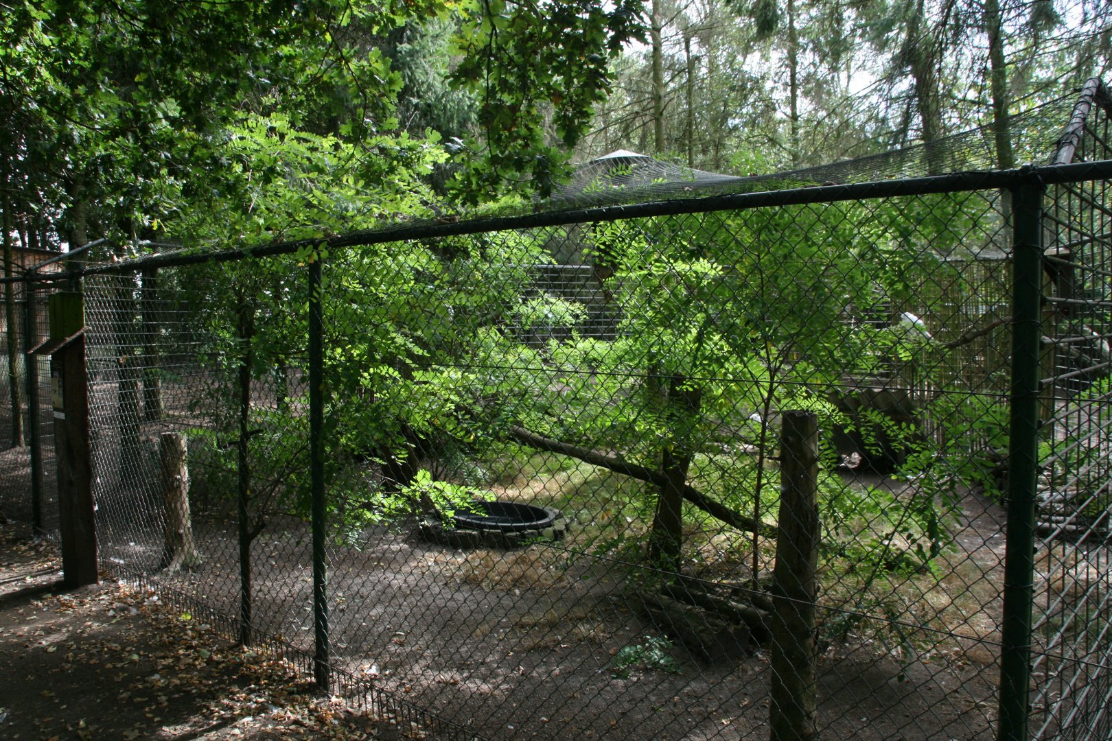 Snowy owl aviary