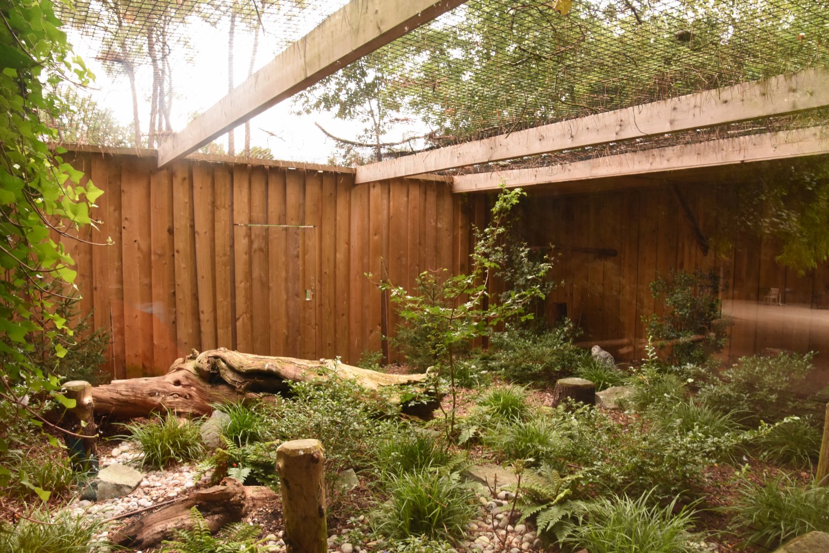 Snowy Owl aviary