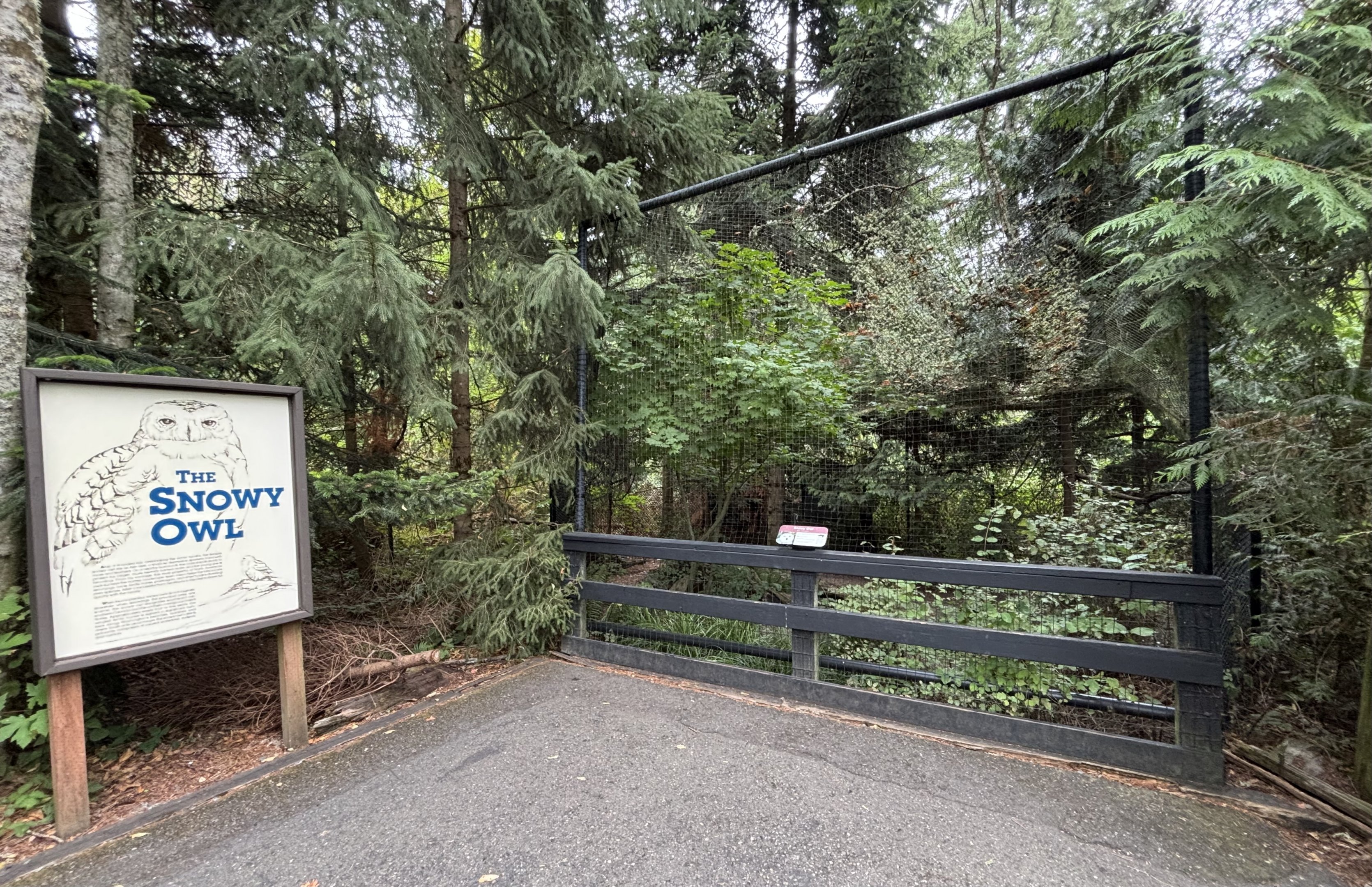 Snowy Owl Aviary
