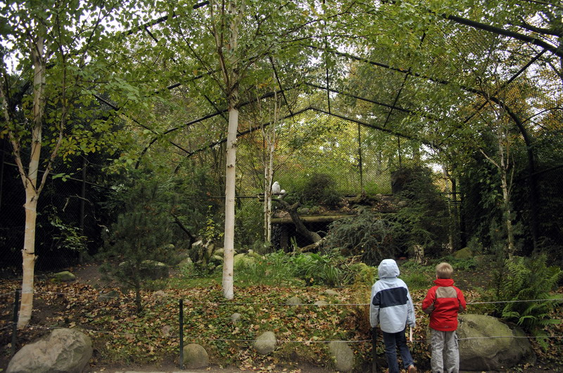 Snowy owl enclosure at Hagenbeck, Hamburg