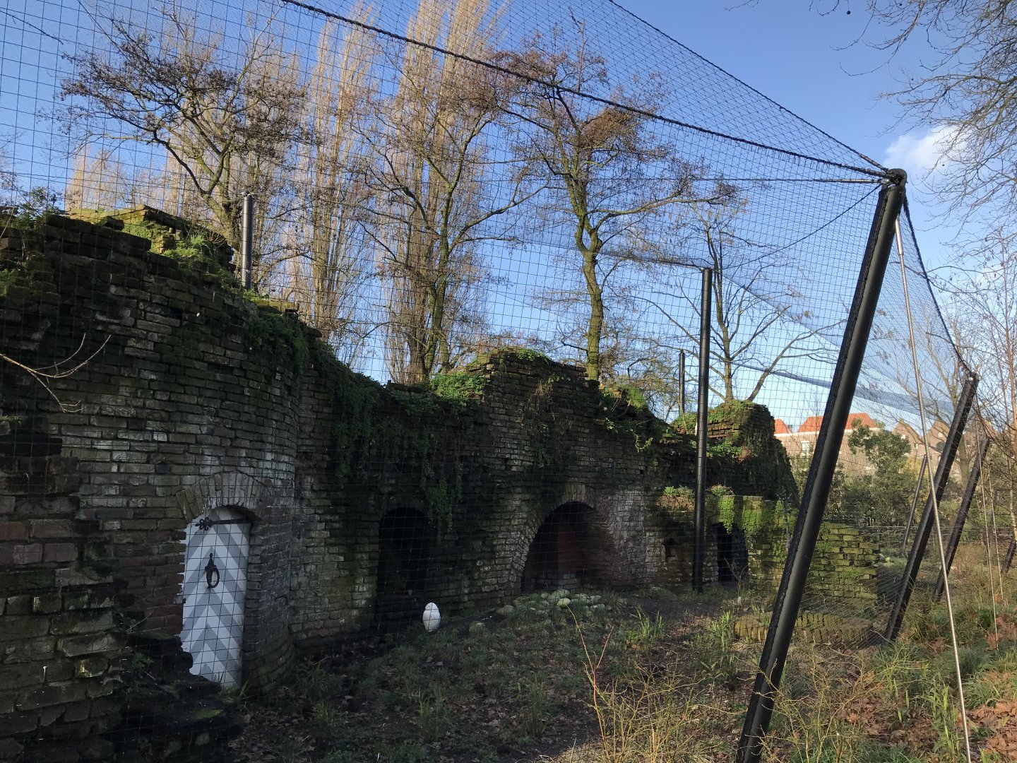Snowy owl enclosure in winter